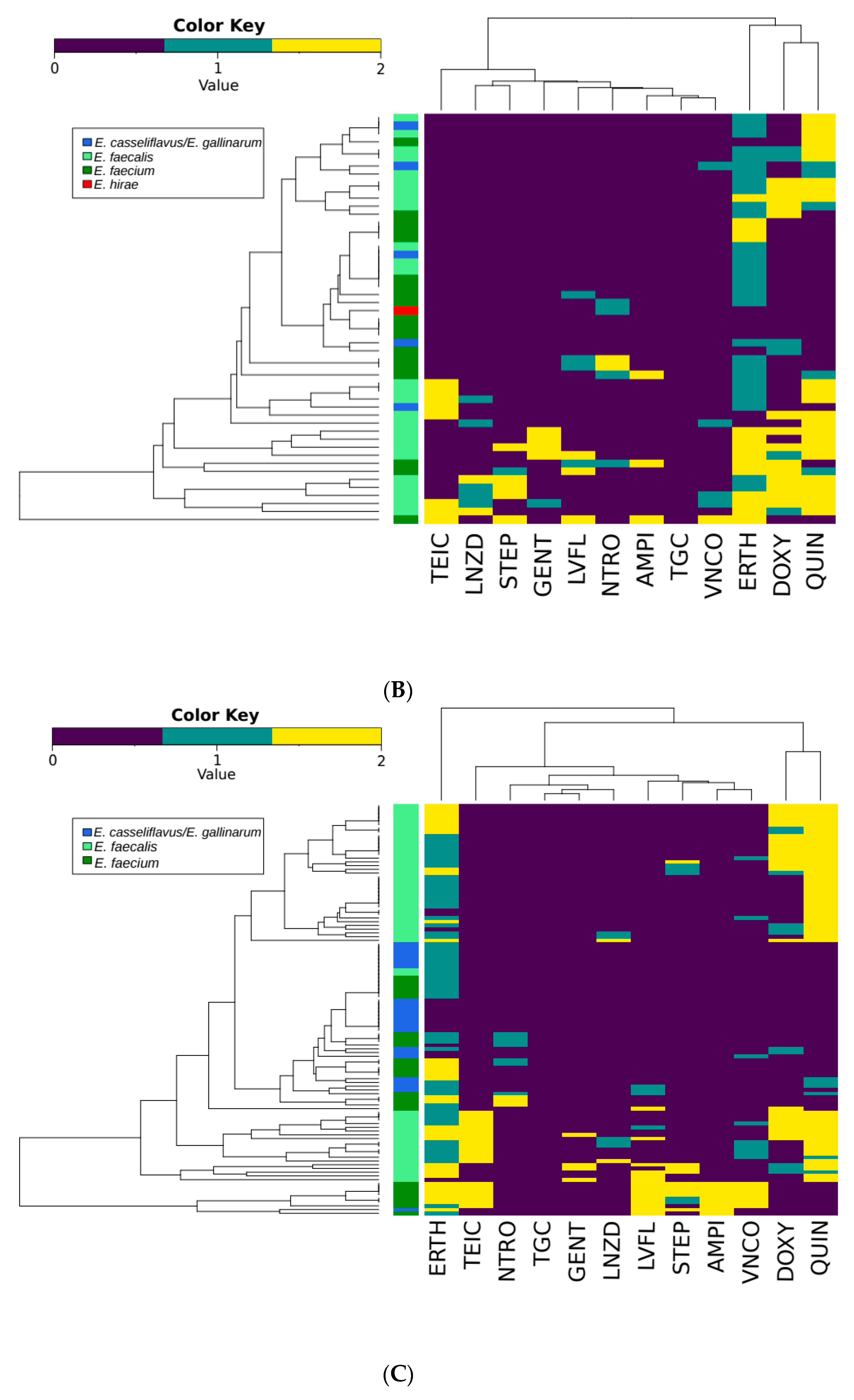 Microorganisms 07 00626 g002b