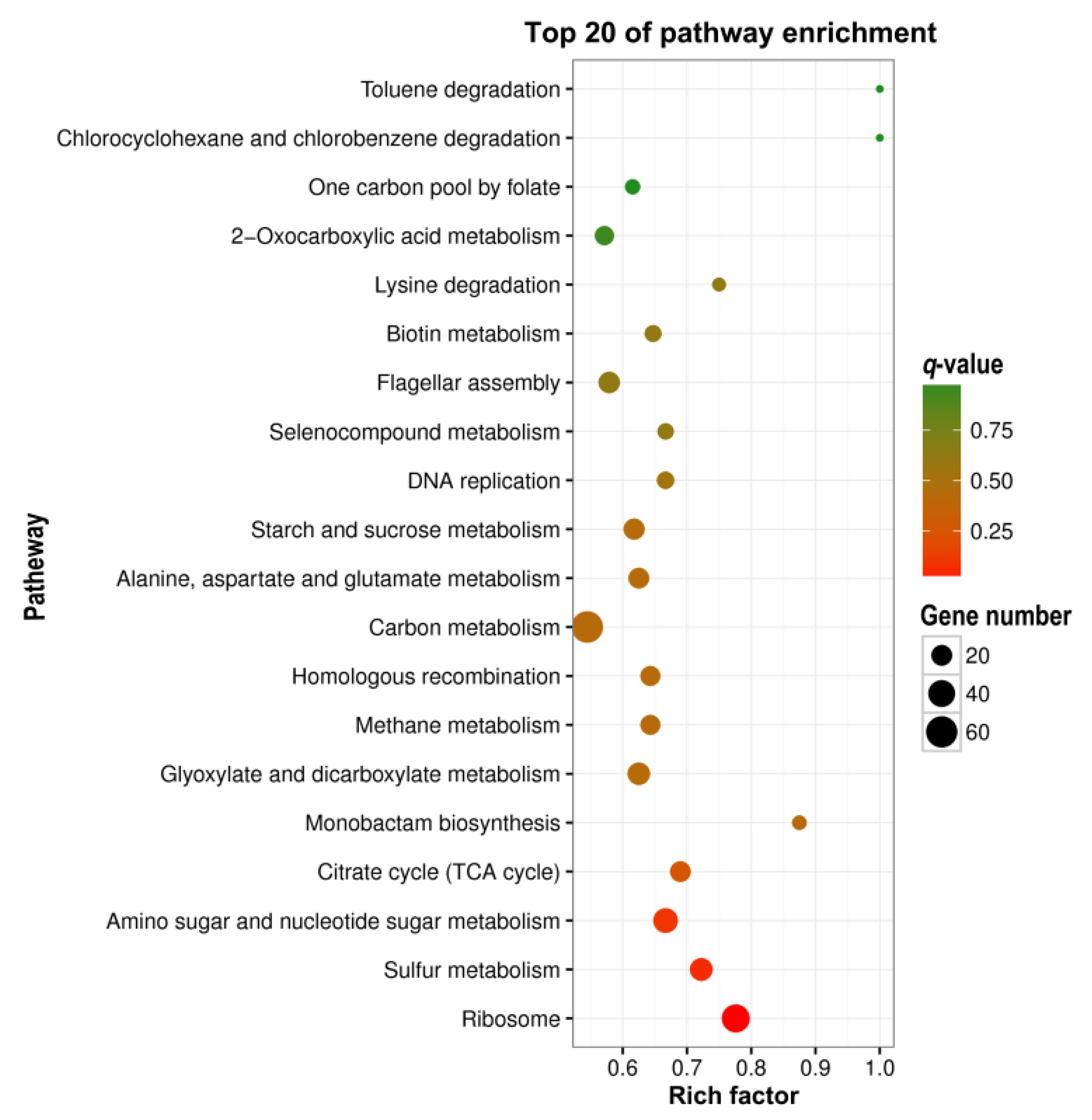 Microorganisms 07 00634 g003