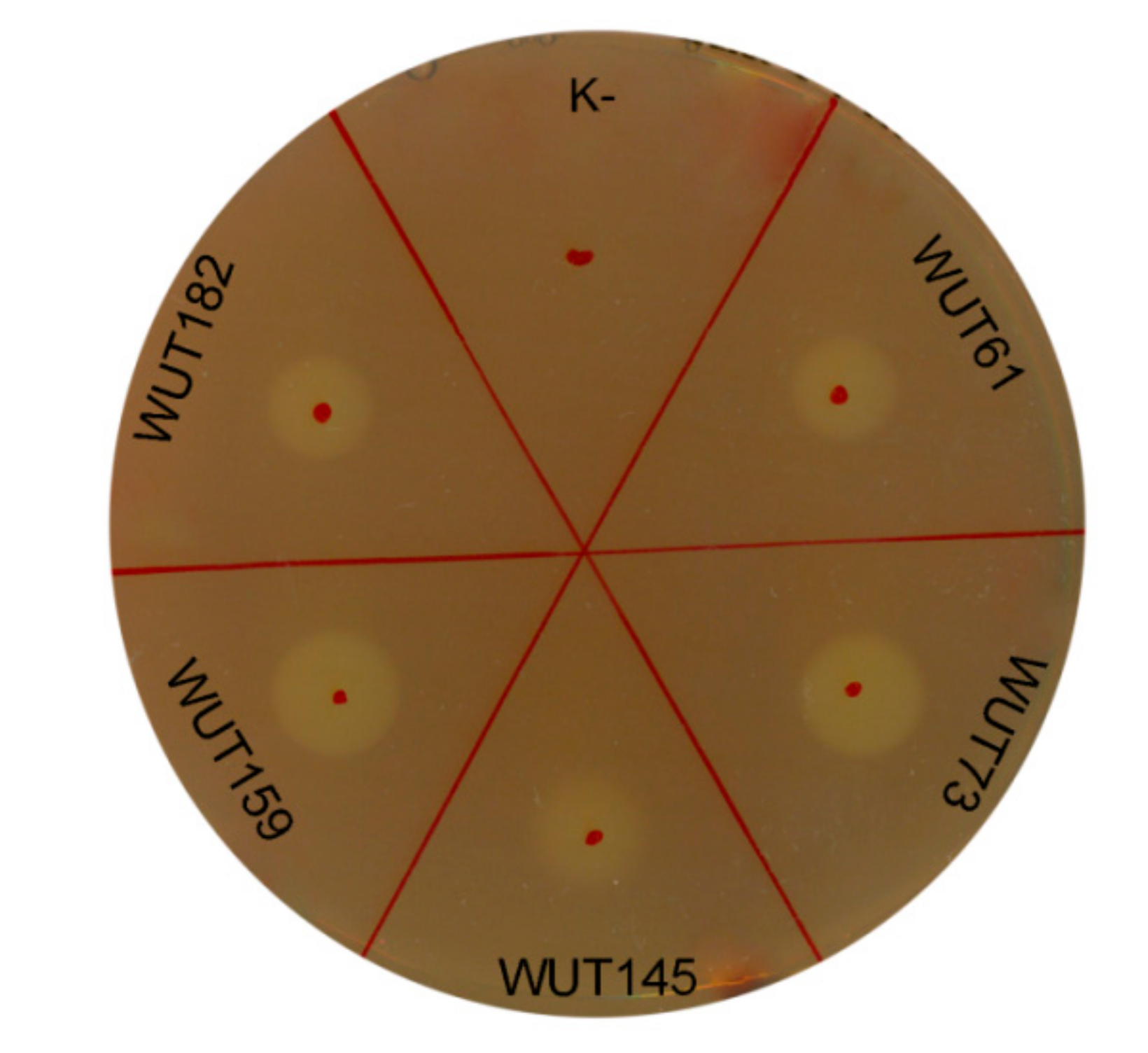 Microorganisms 07 00653 g002 Microorganisms 07 00653 g002