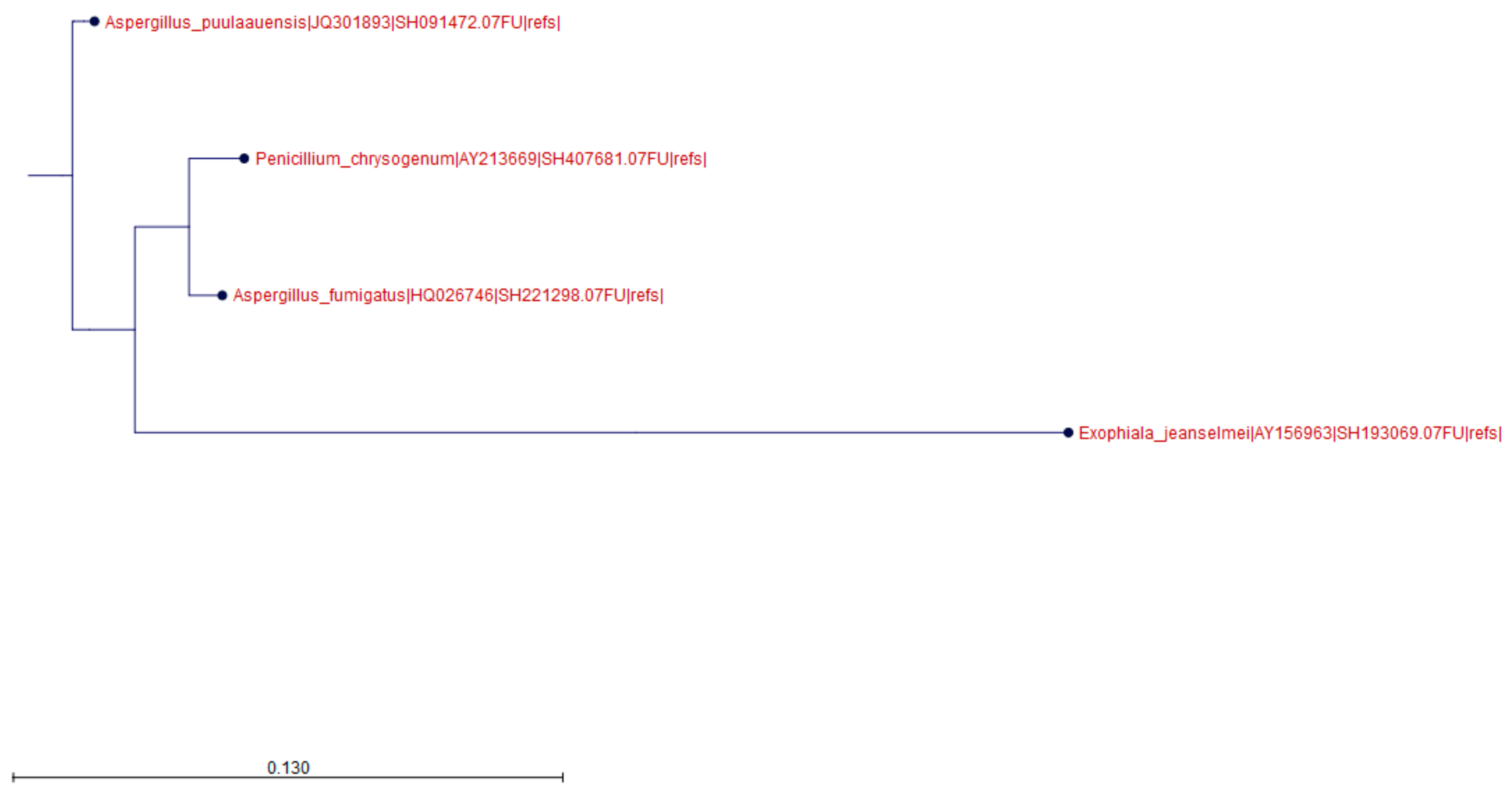 Microorganisms 07 00674 g001