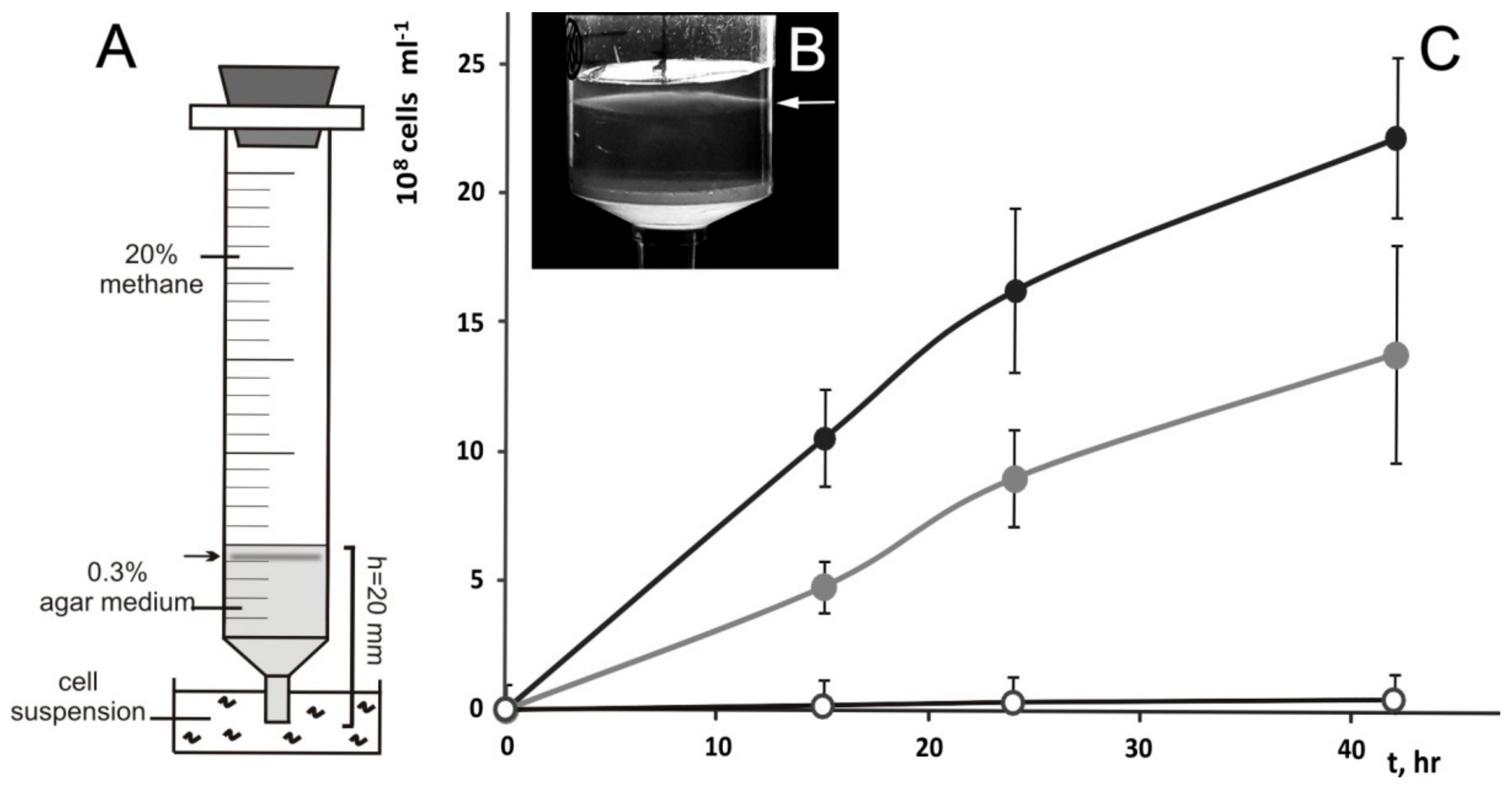 Autothermal reforming and steam reforming фото 53