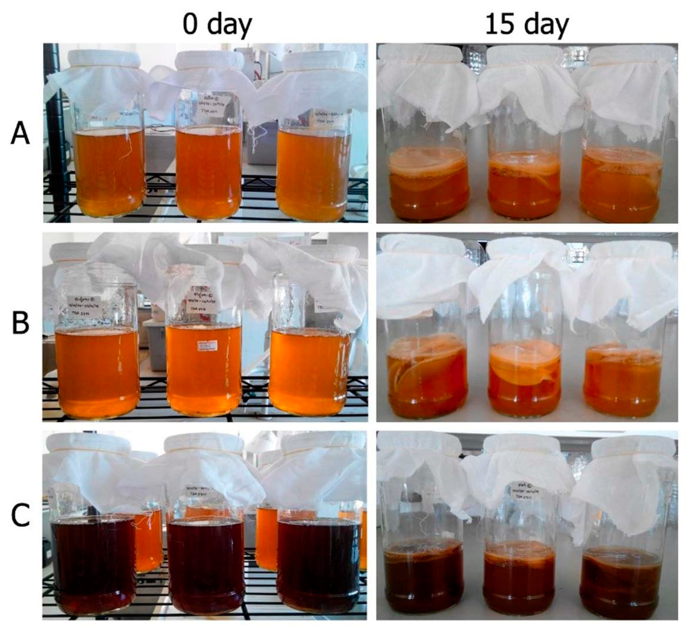 Microorganisms | Free Full-Text | Efficacy of Kombucha Obtained from Green,  Oolong, and Black Teas on Inhibition of Pathogenic Bacteria, Antioxidation,  and Toxicity on Colorectal Cancer Cell Line | HTML