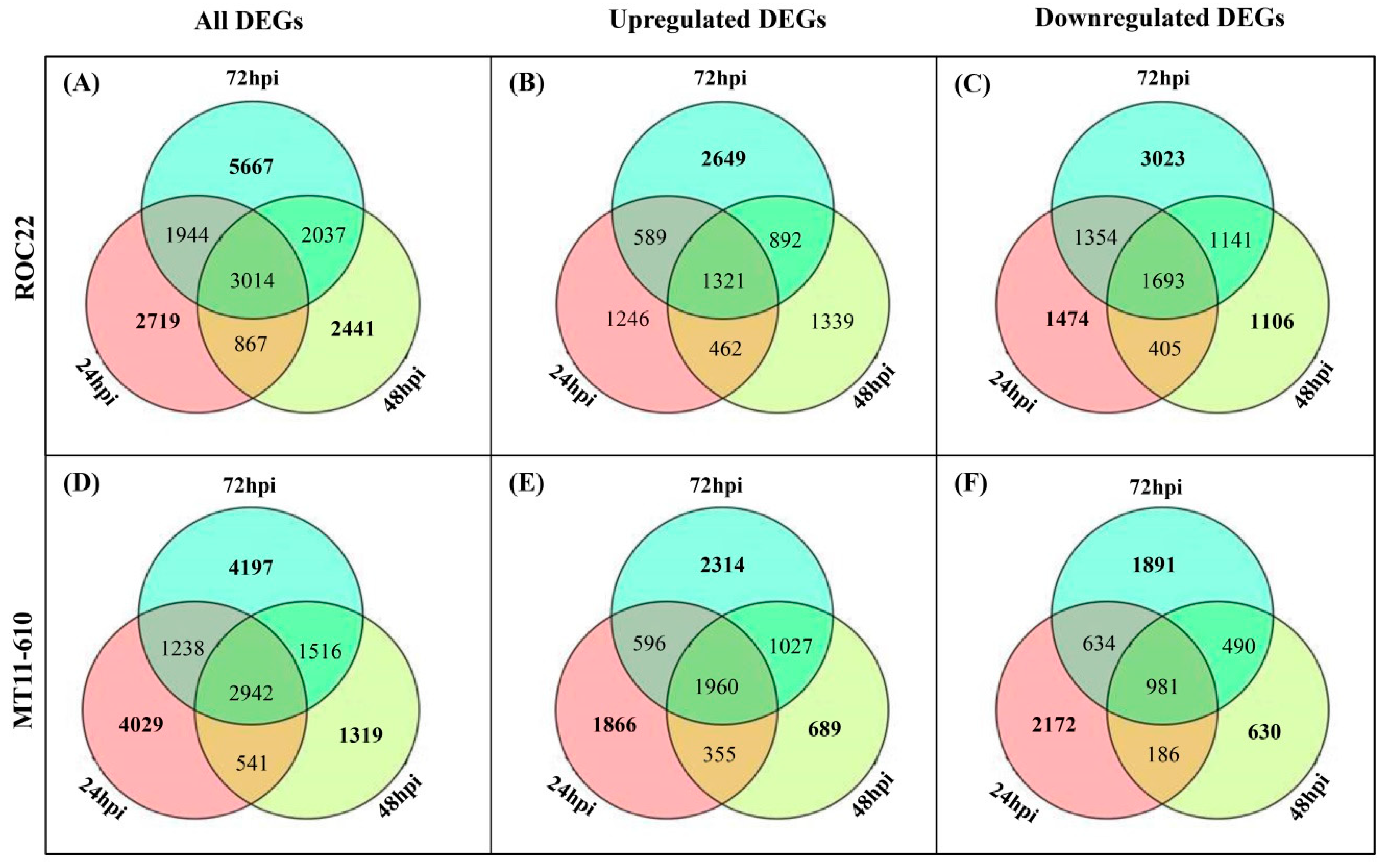 Microorganisms Free Full Text Global Gene Responses Of Resistant And Susceptible Sugarcane Cultivars To Acidovorax Avenae Subsp Avenae Identified Using Comparative Transcriptome Analysis Html