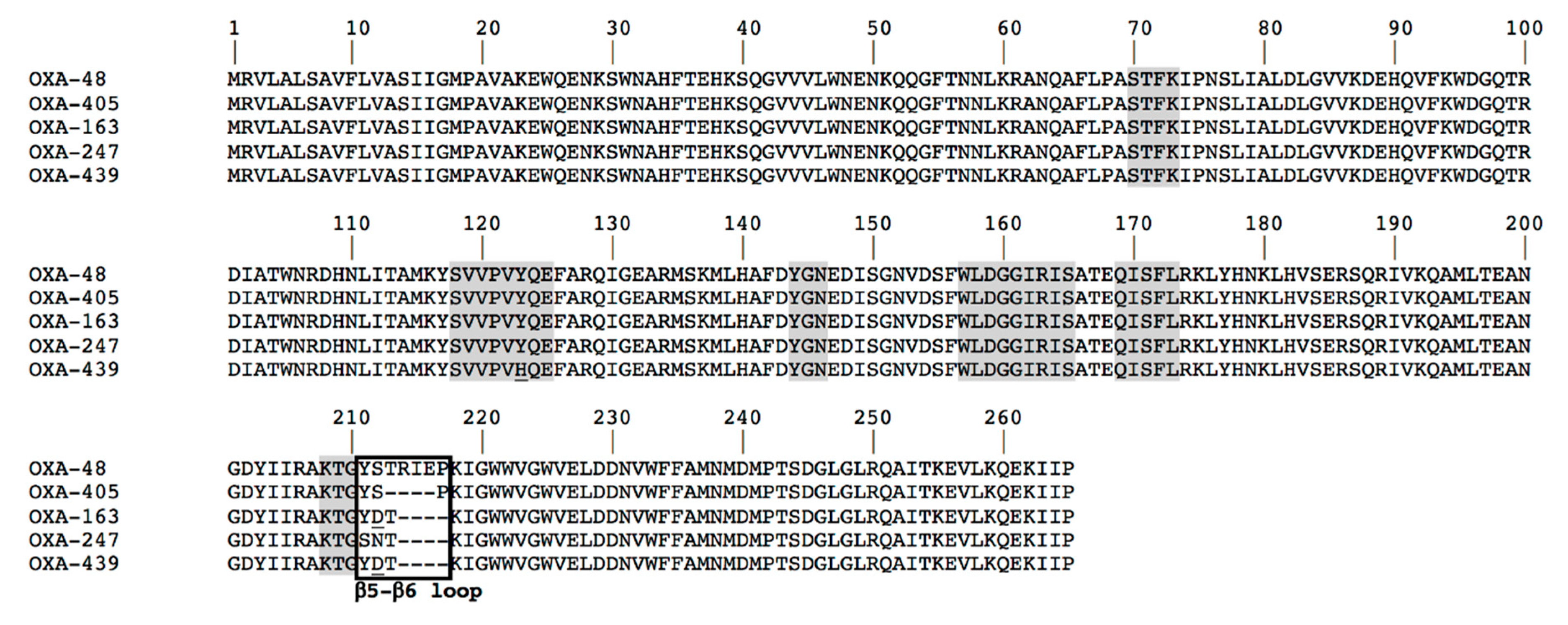 Microorganisms 08 00024 g001 Microorganisms 08 00024 g001