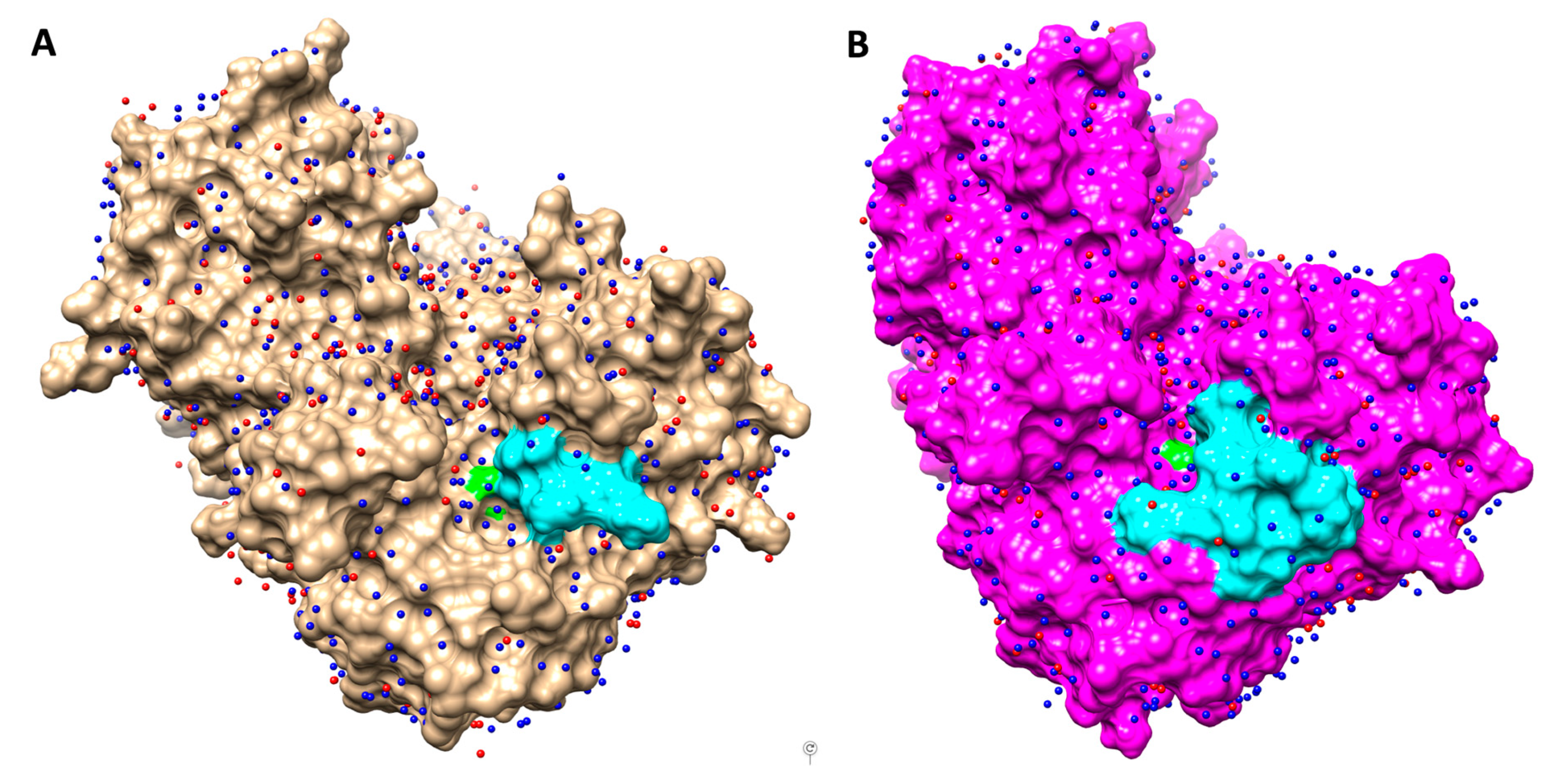 Microorganisms 08 00024 g004 Microorganisms 08 00024 g004
