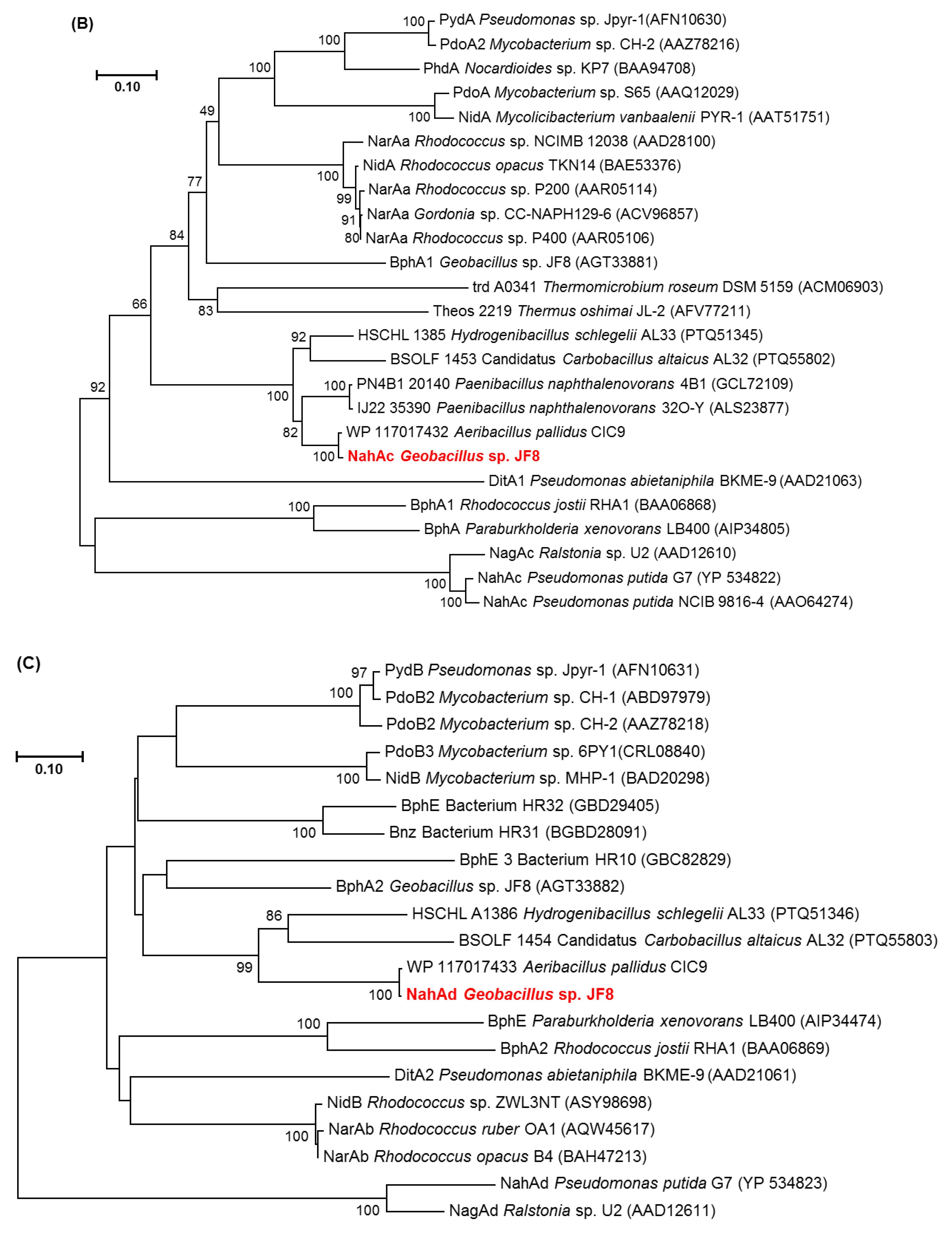 Microorganisms 08 00044 g003b