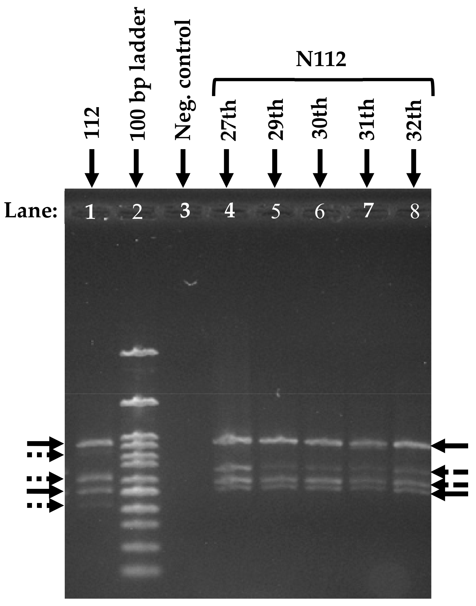 Microorganisms 08 00050 g006 Microorganisms 08 00050 g006