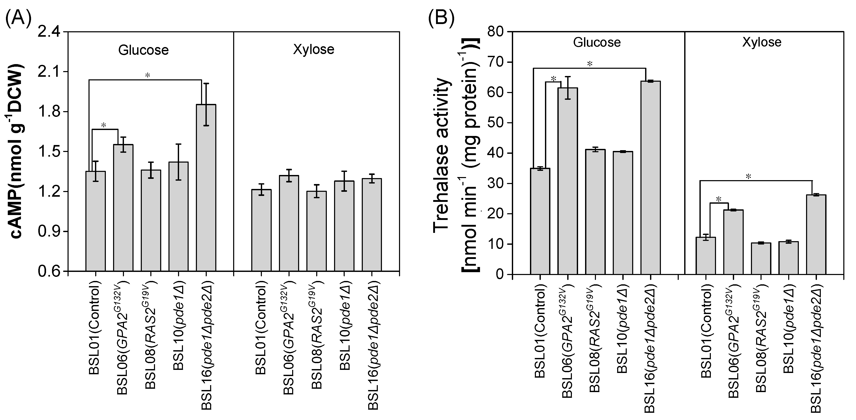 Microorganisms 08 00100 g002