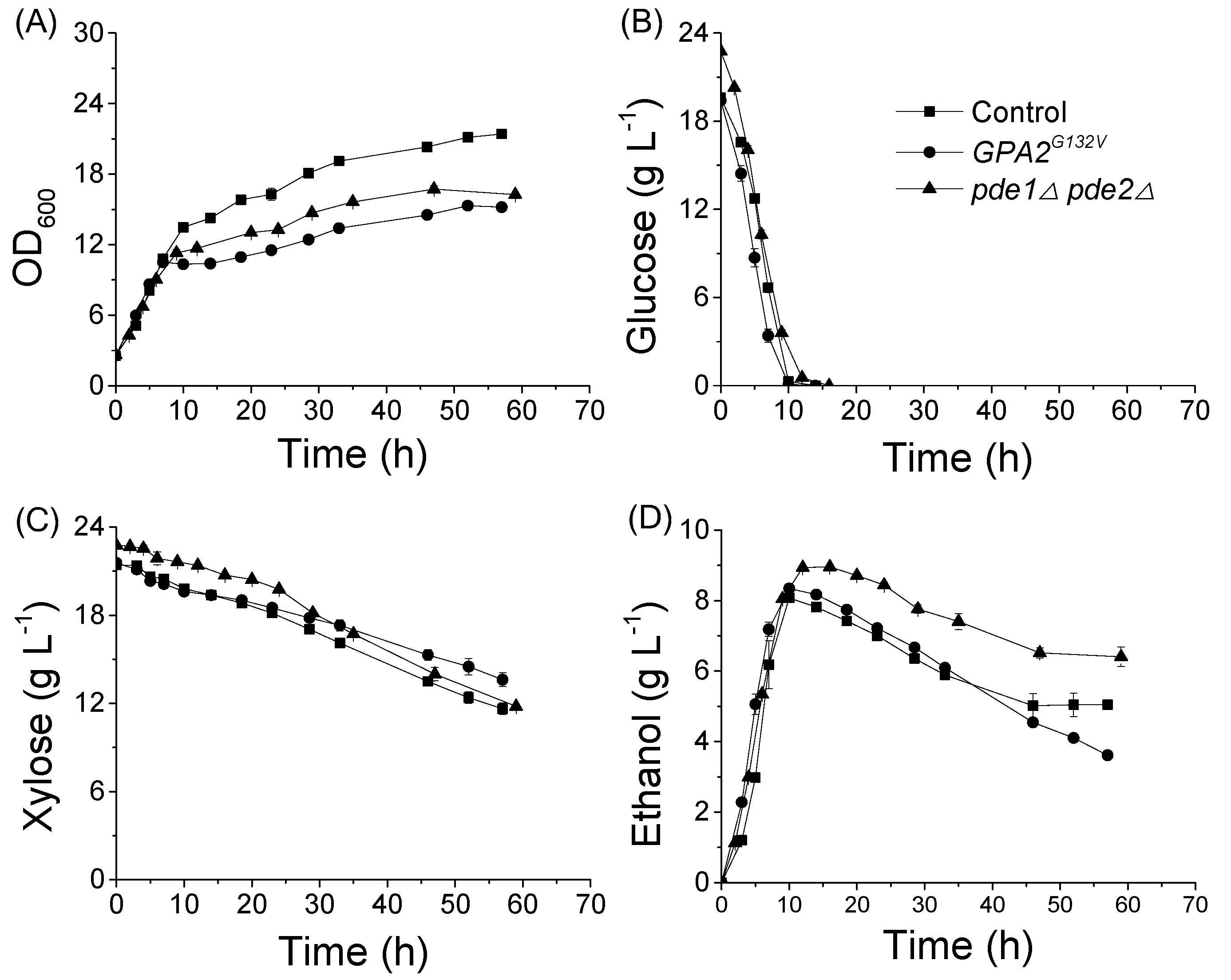Microorganisms 08 00100 g004