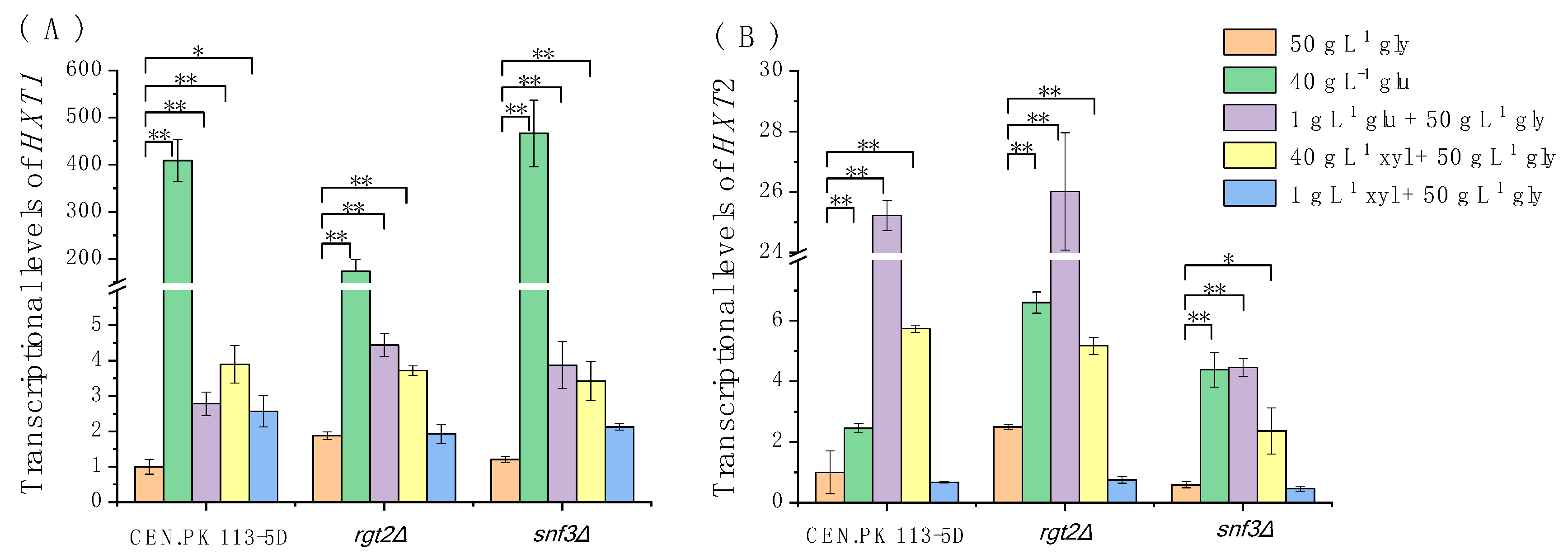 Microorganisms 08 00100 g005
