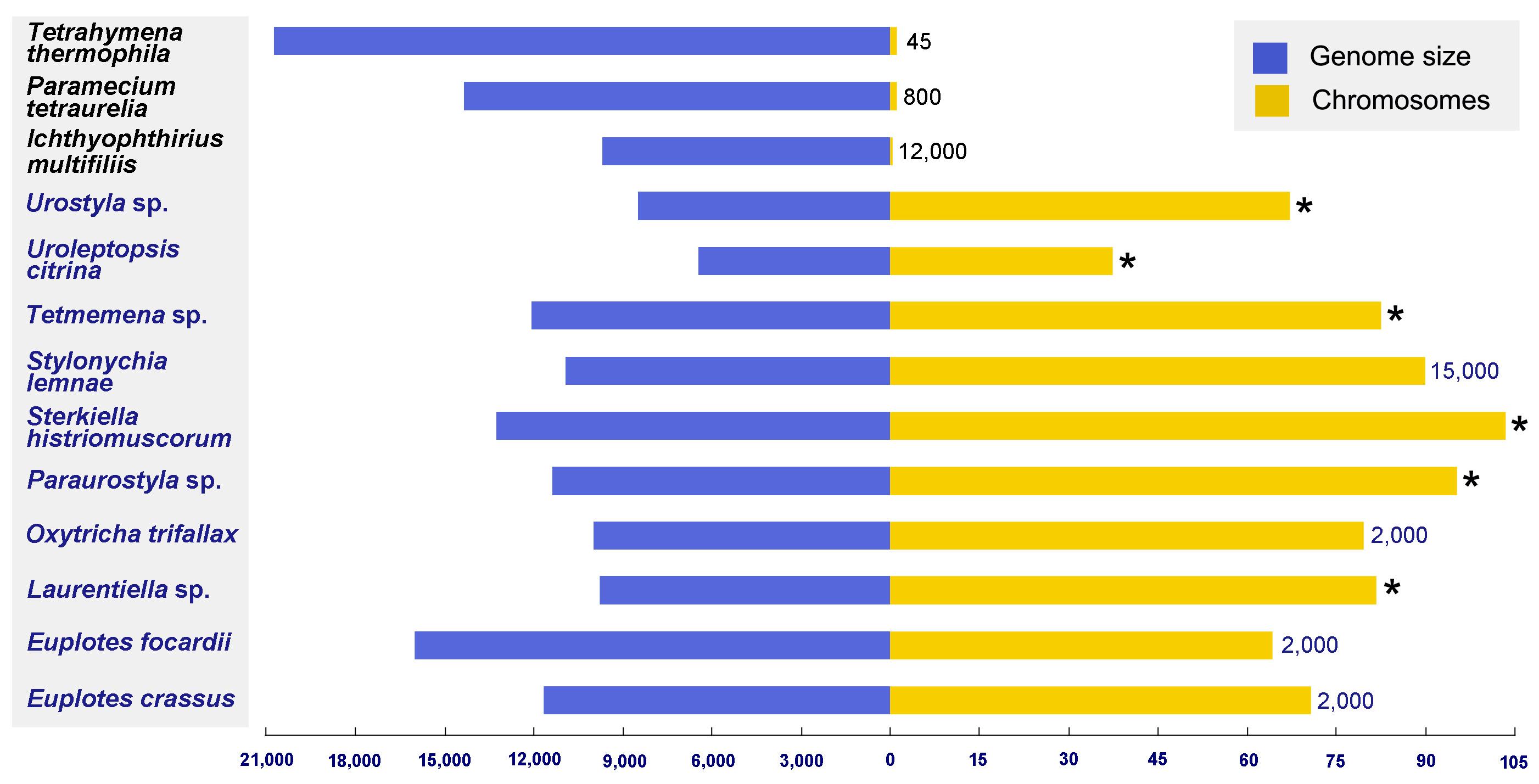 Microorganisms 08 00108 g001 Microorganisms 08 00108 g001