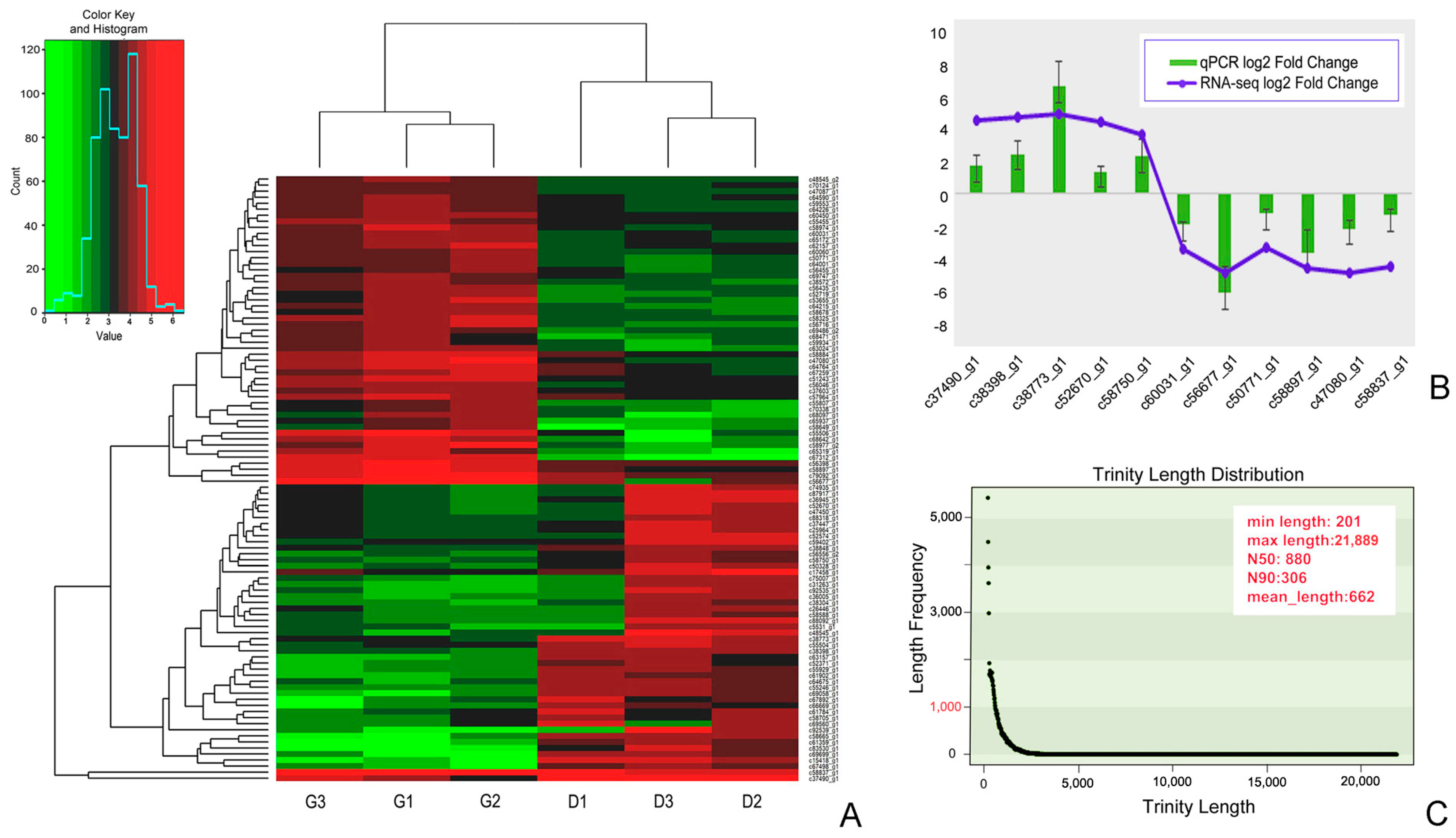 Microorganisms 08 00108 g002 Microorganisms 08 00108 g002