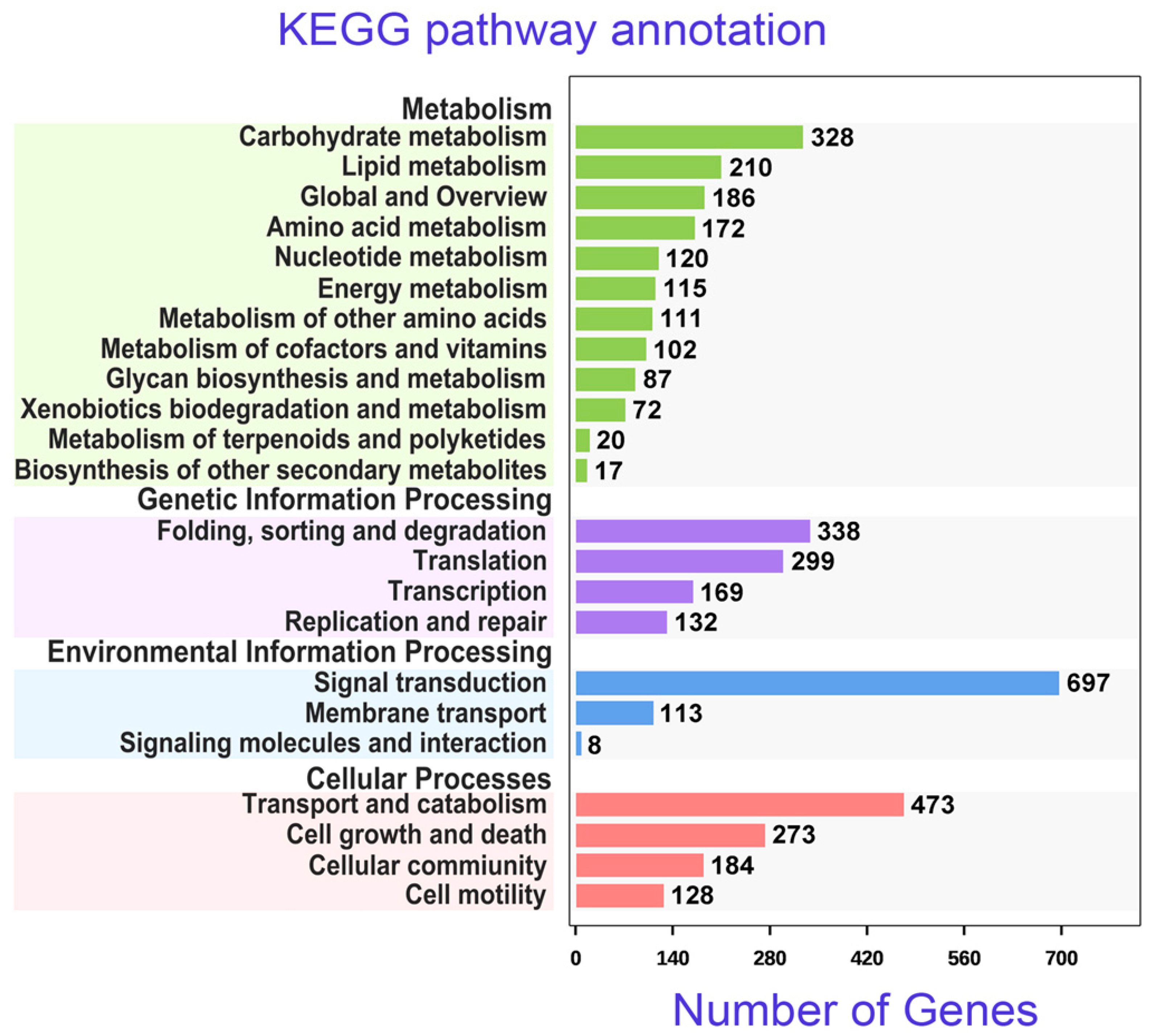 Microorganisms 08 00108 g005 Microorganisms 08 00108 g005