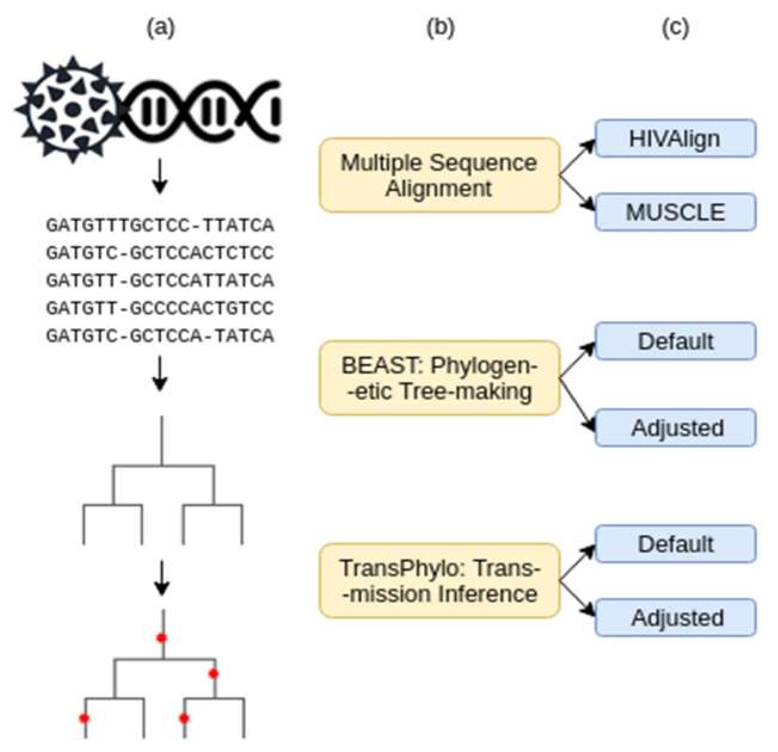 Microorganisms 08 00196 g001 Microorganisms 08 00196 g001