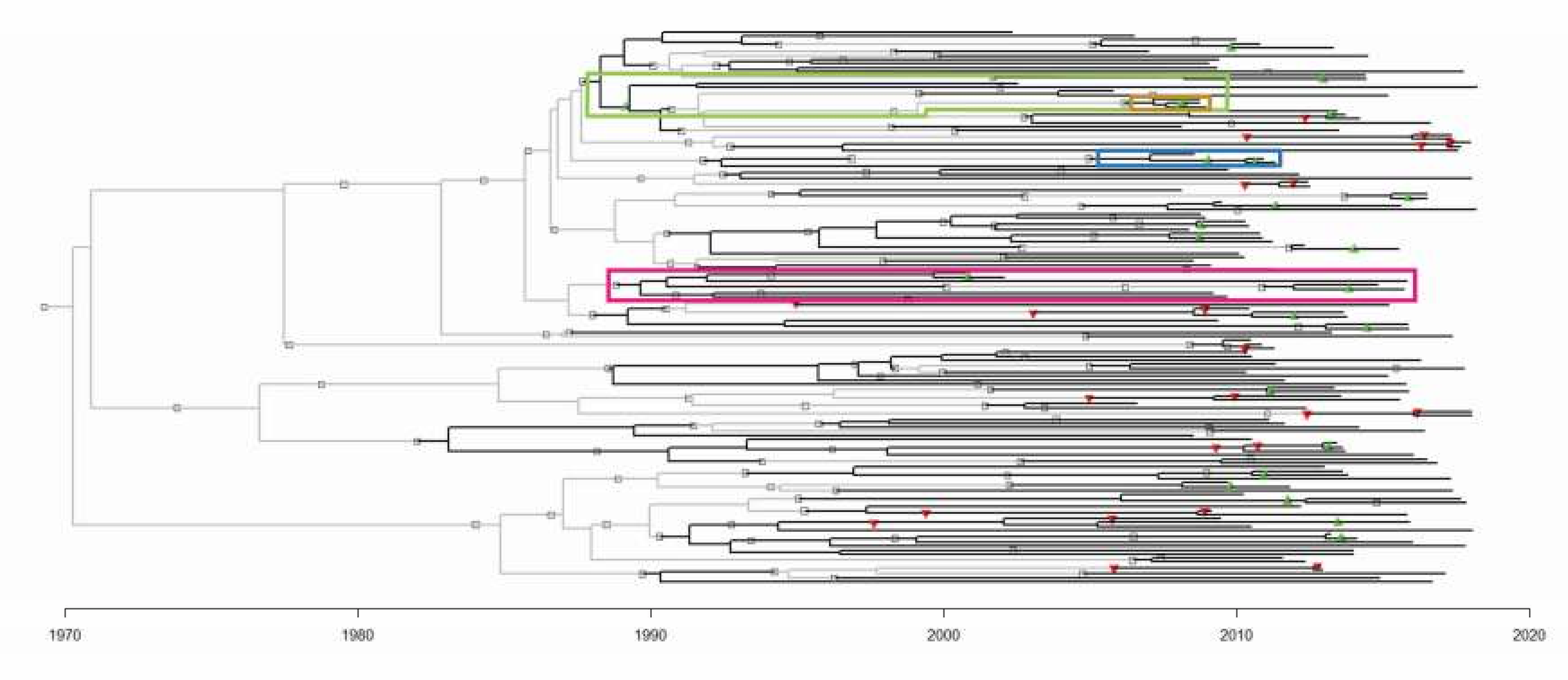 Microorganisms 08 00196 g003 Microorganisms 08 00196 g003