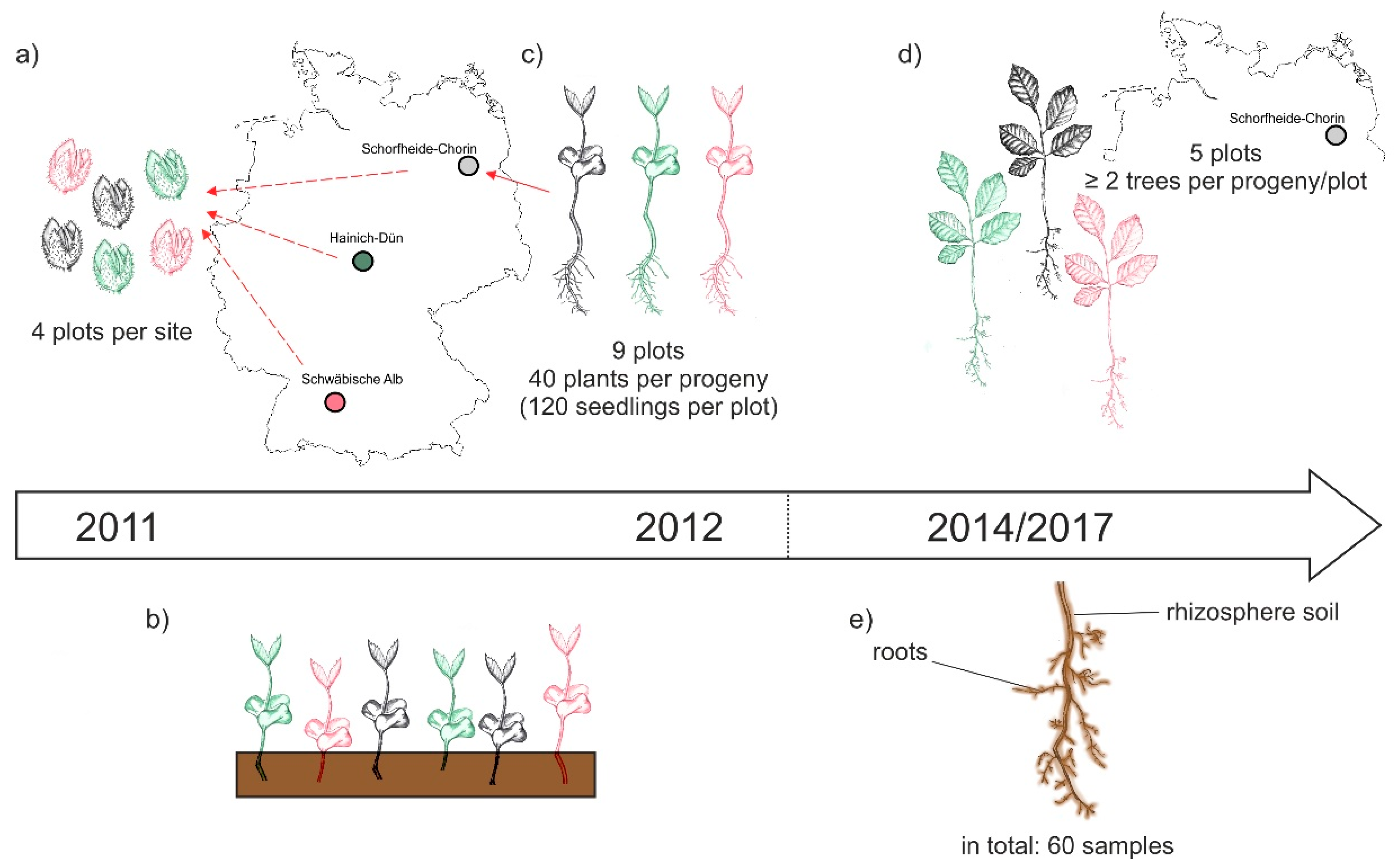 Microorganisms 08 00210 g001