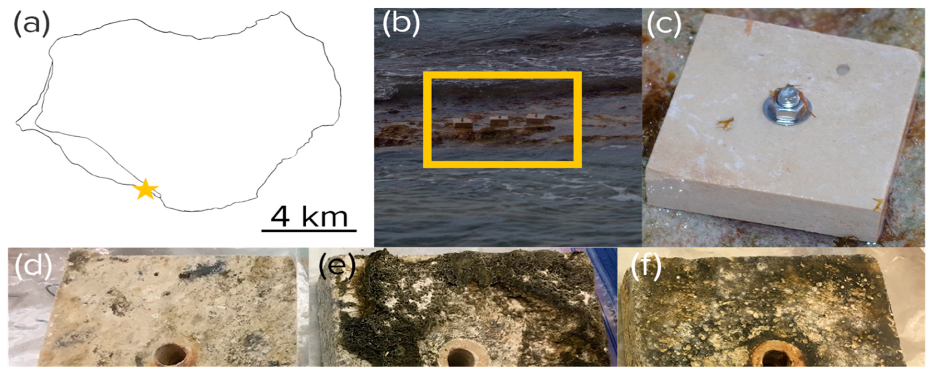 Microorganisms 08 00214 g001 Microorganisms 08 00214 g001