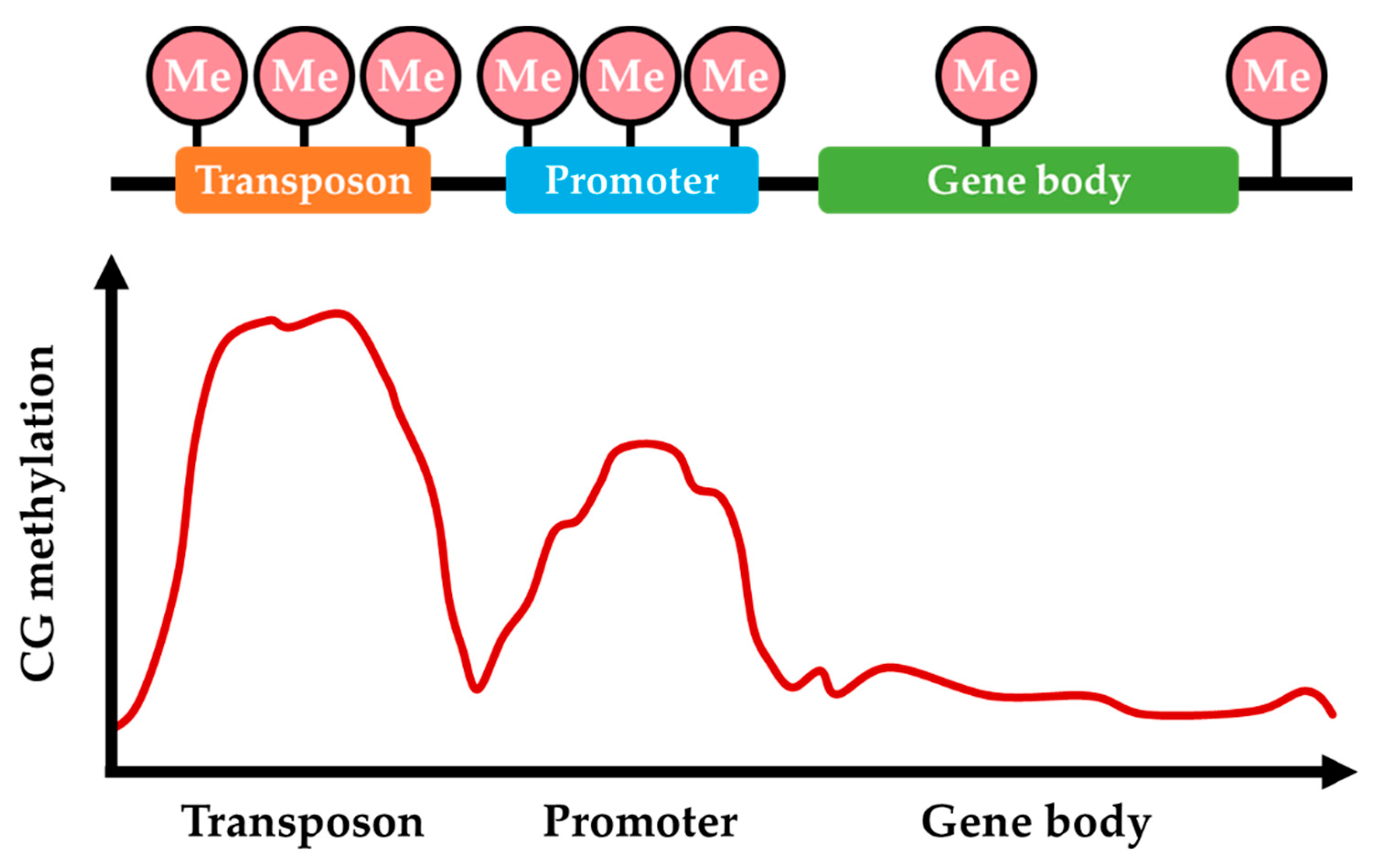 cytosine methylation