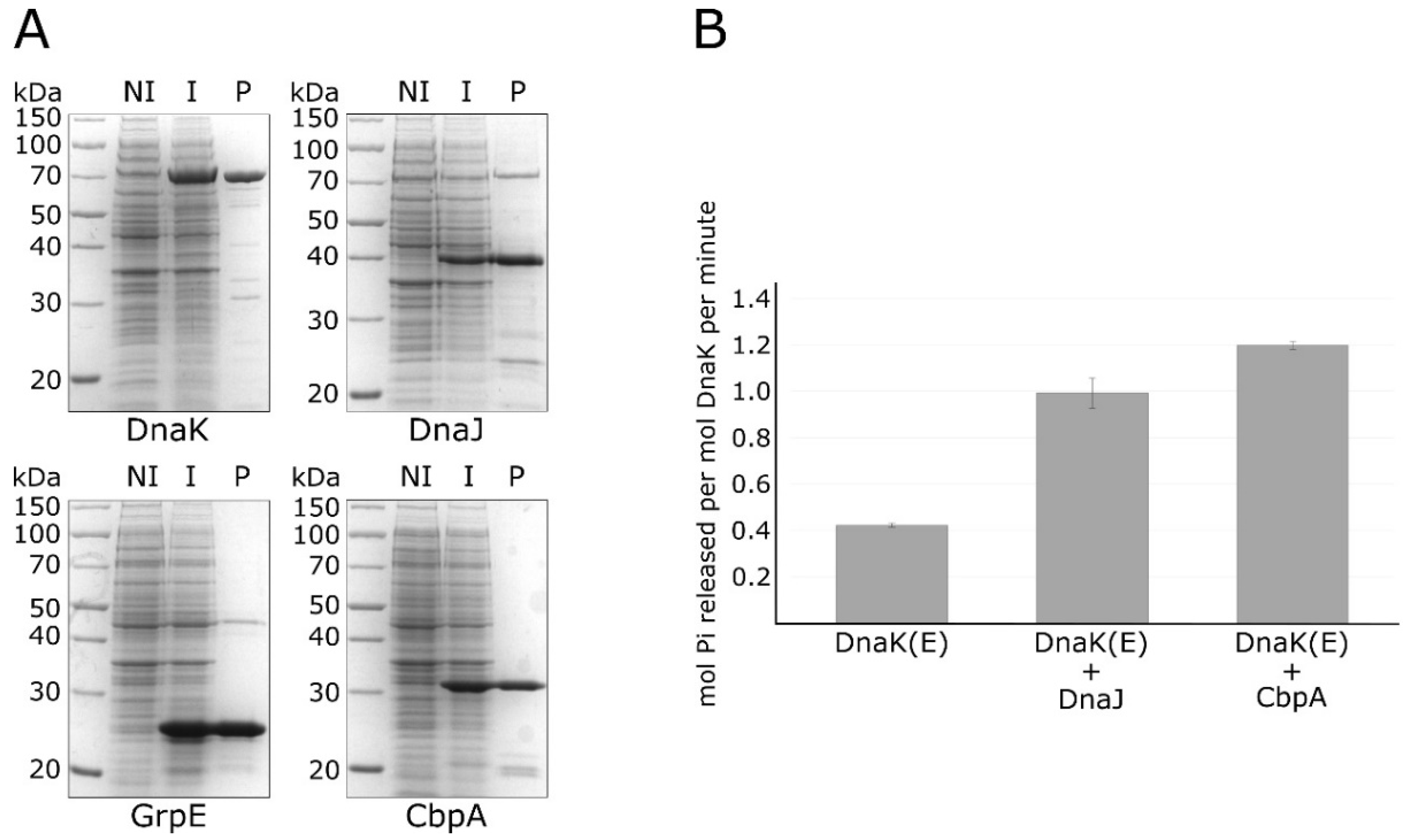 Microorganisms 08 00251 g002 Microorganisms 08 00251 g002