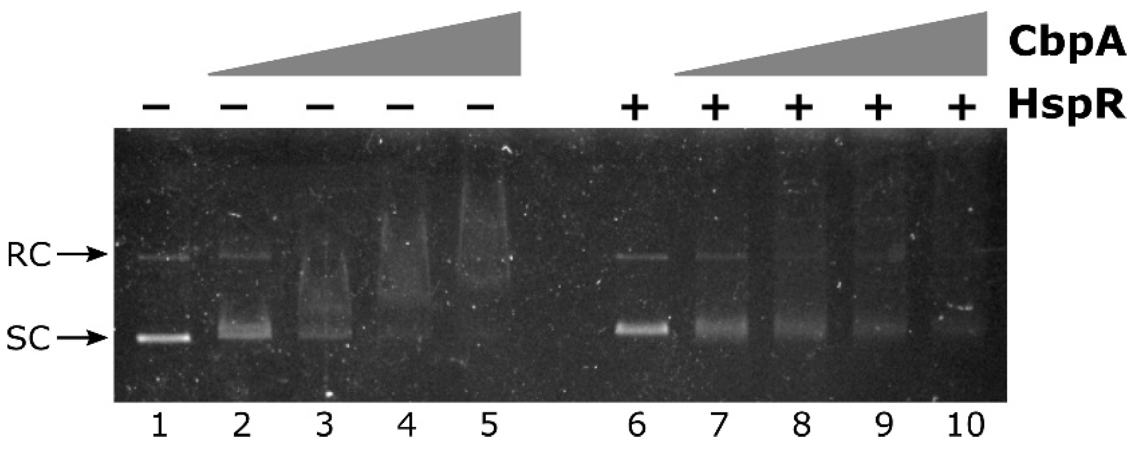 Microorganisms 08 00251 g005 Microorganisms 08 00251 g005