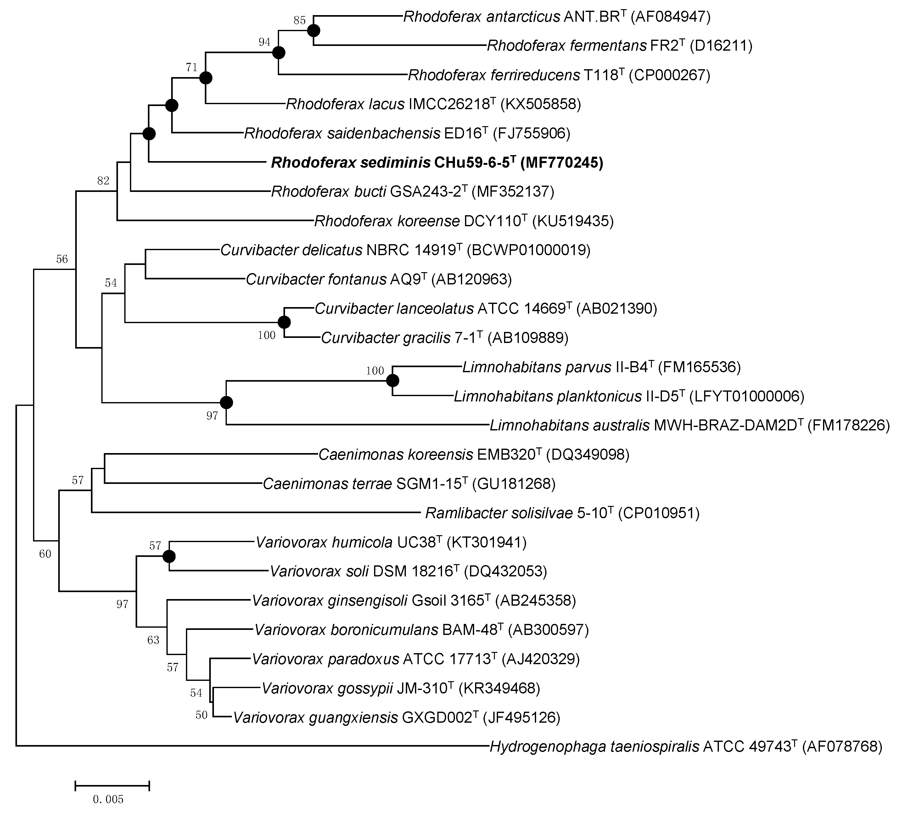 Microorganisms 08 00262 g002