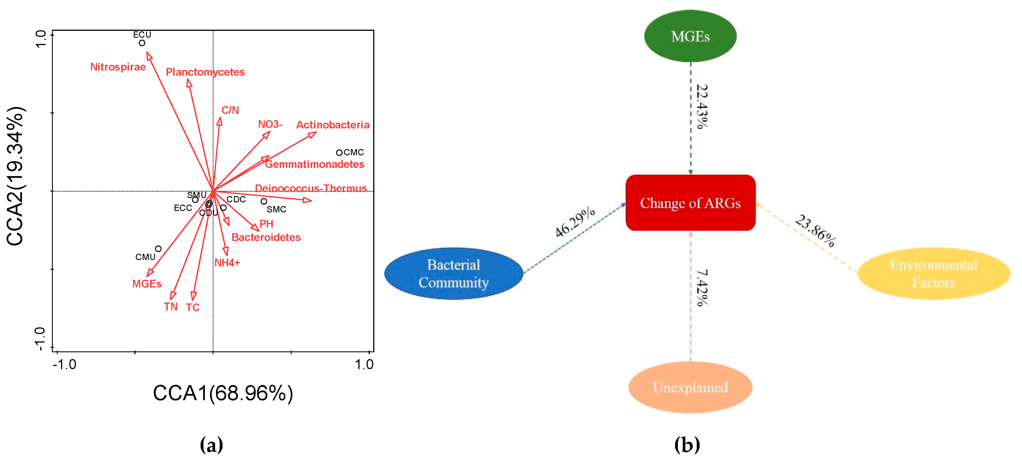 Microorganisms 08 00268 g010