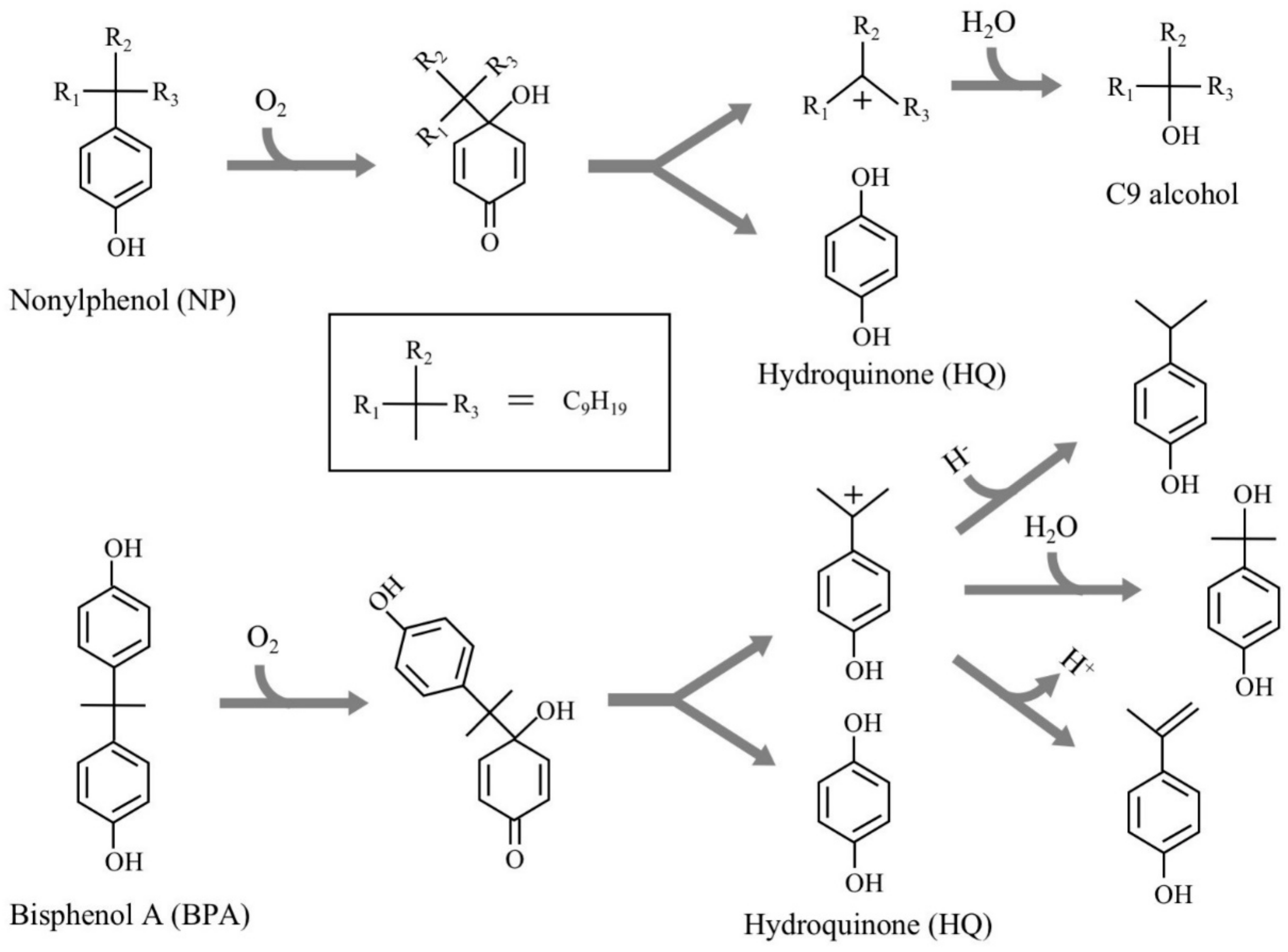 Microorganisms 08 00284 g001