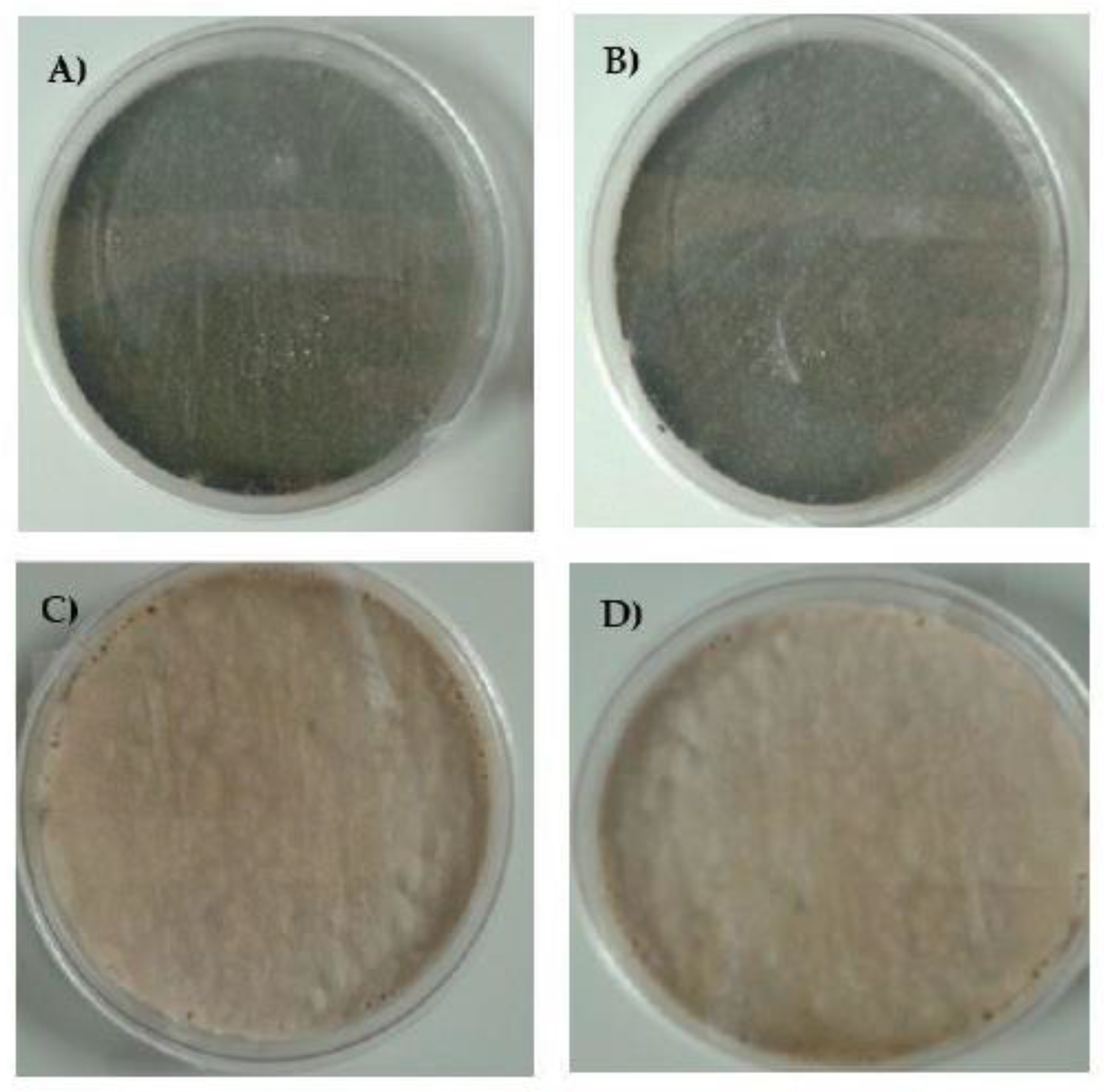Microorganisms 08 00285 g002