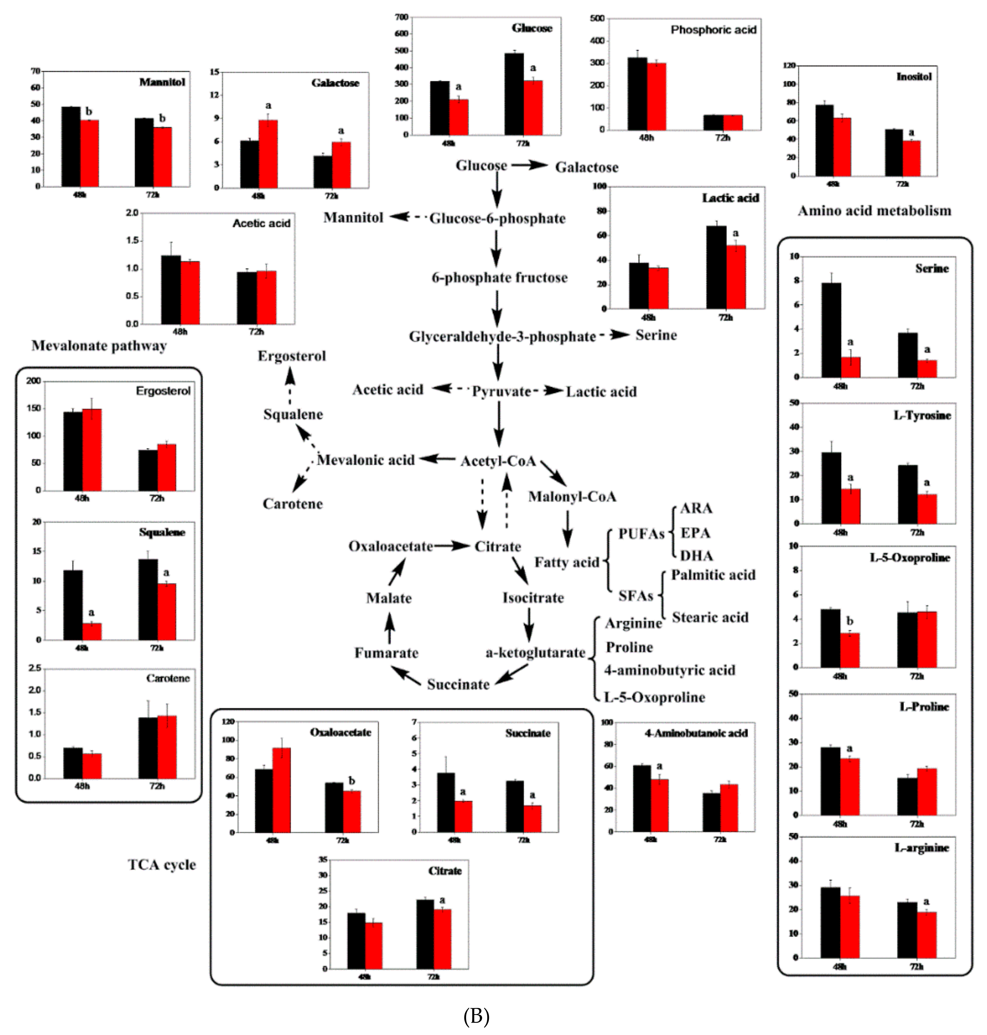 Microorganisms 08 00300 g007b