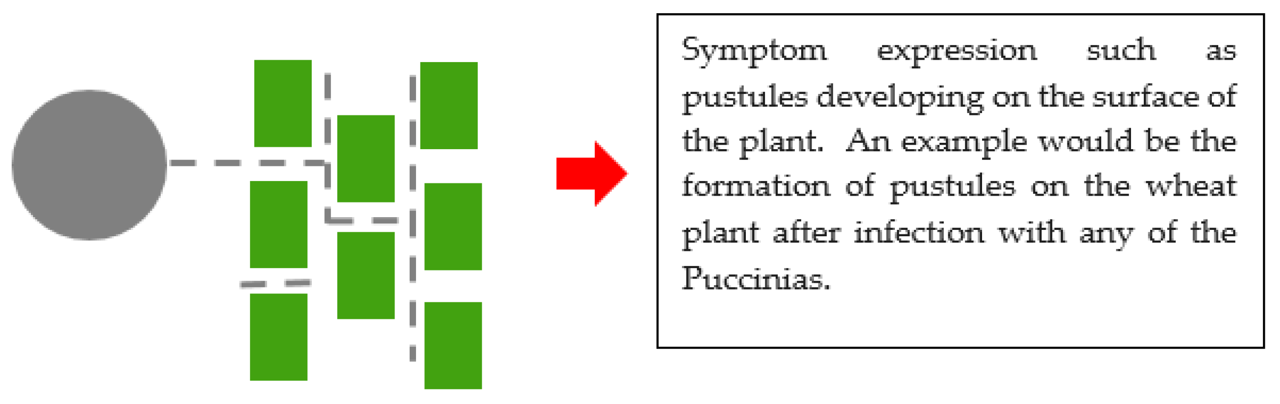 Microorganisms 08 00305 g003 Microorganisms 08 00305 g003