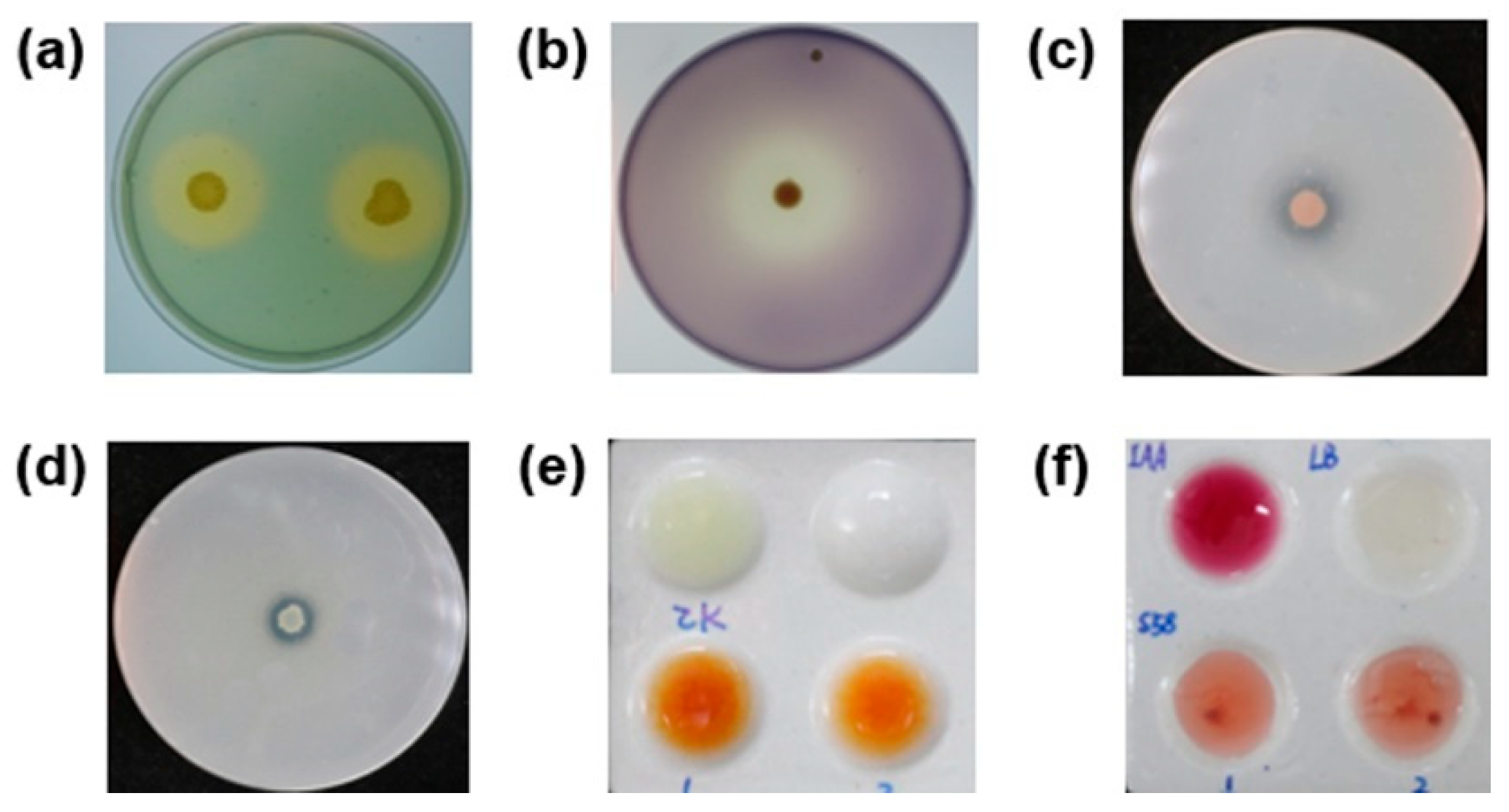 Microorganisms 08 00334 g003 Microorganisms 08 00334 g003