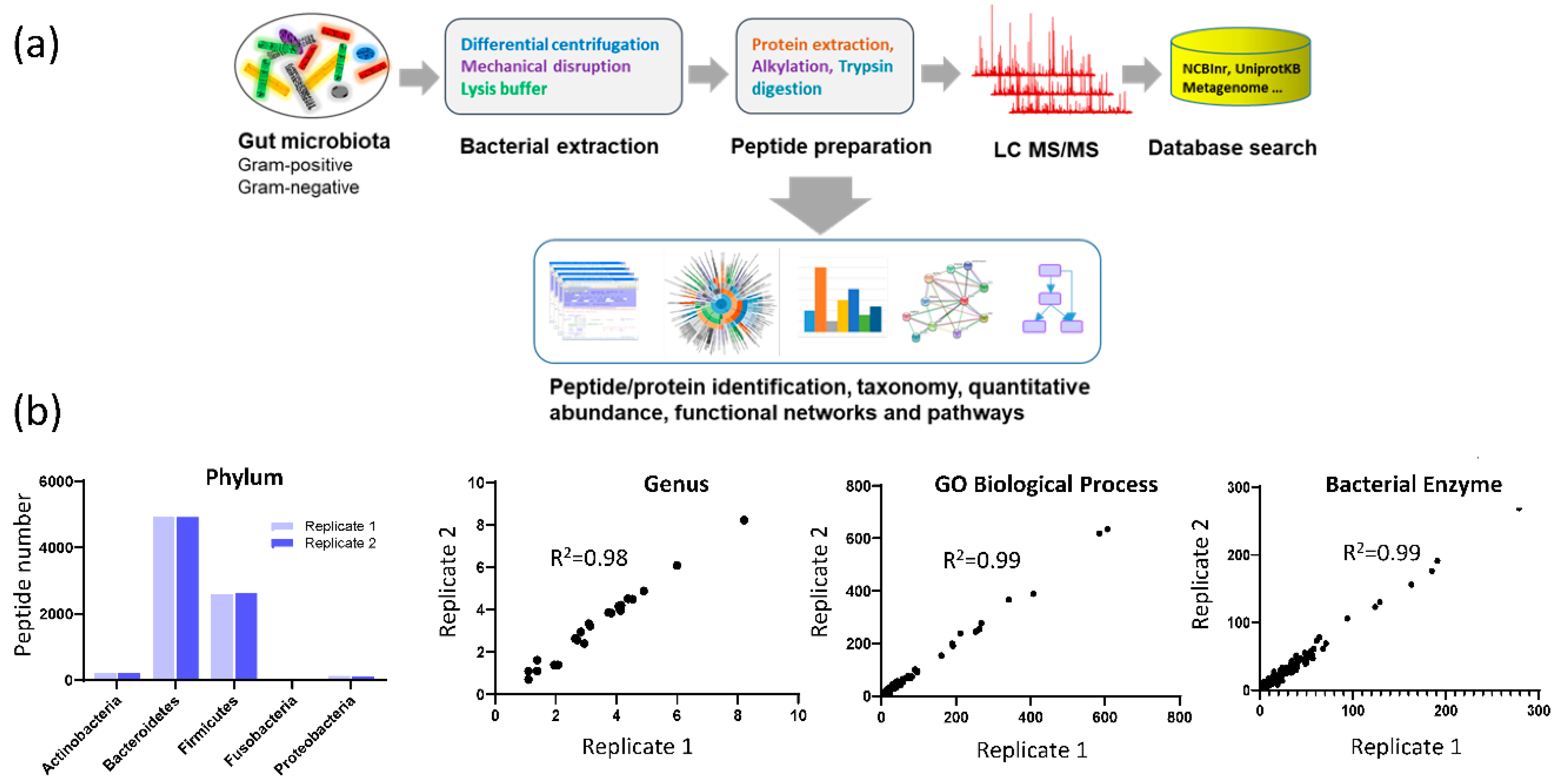 Microorganisms | Free Full-Text | Gut Microbial Protein Expression in  Response to Dietary Patterns in a Controlled Feeding Study: A Metaproteomic  Approach