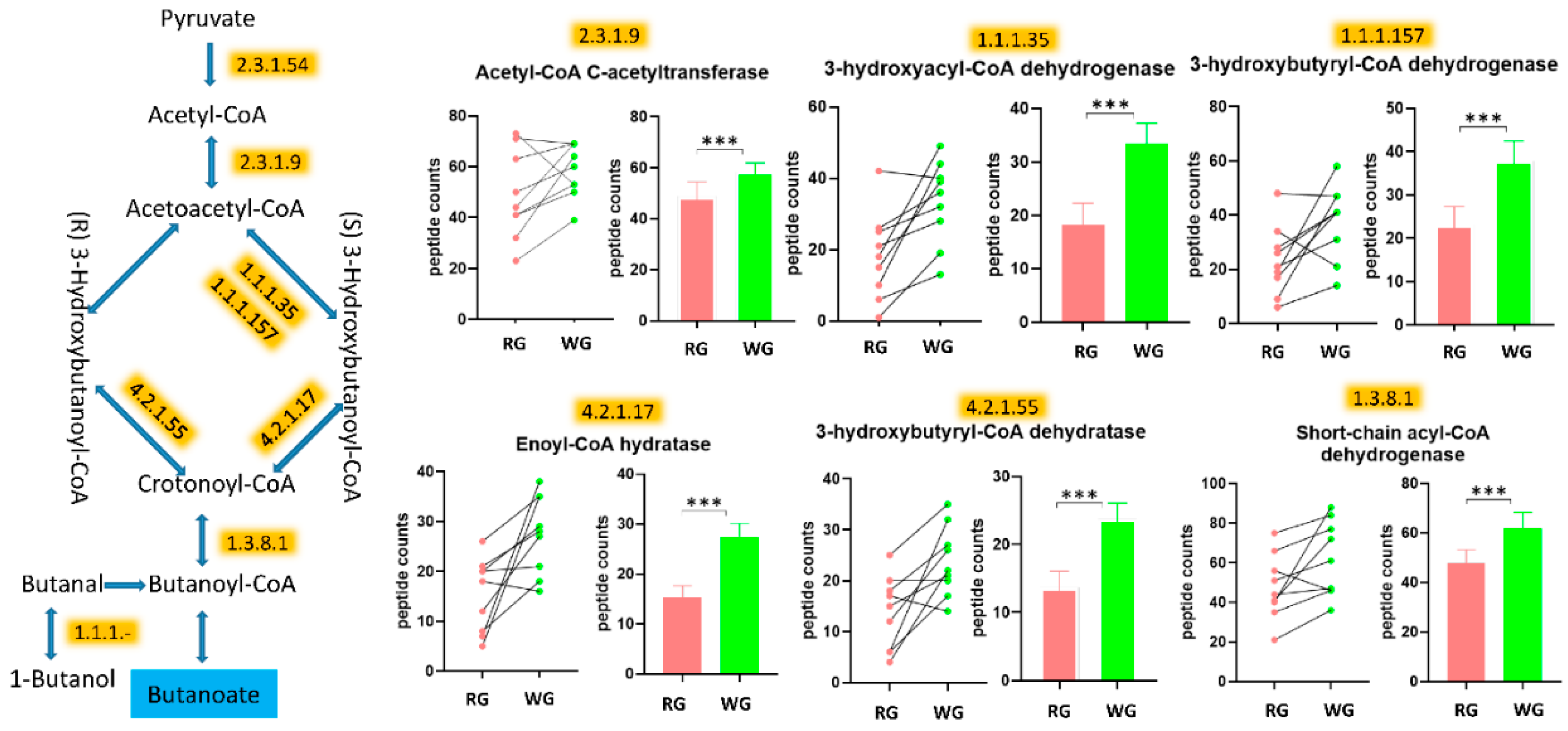 Microorganisms 08 00379 g006 Microorganisms 08 00379 g006