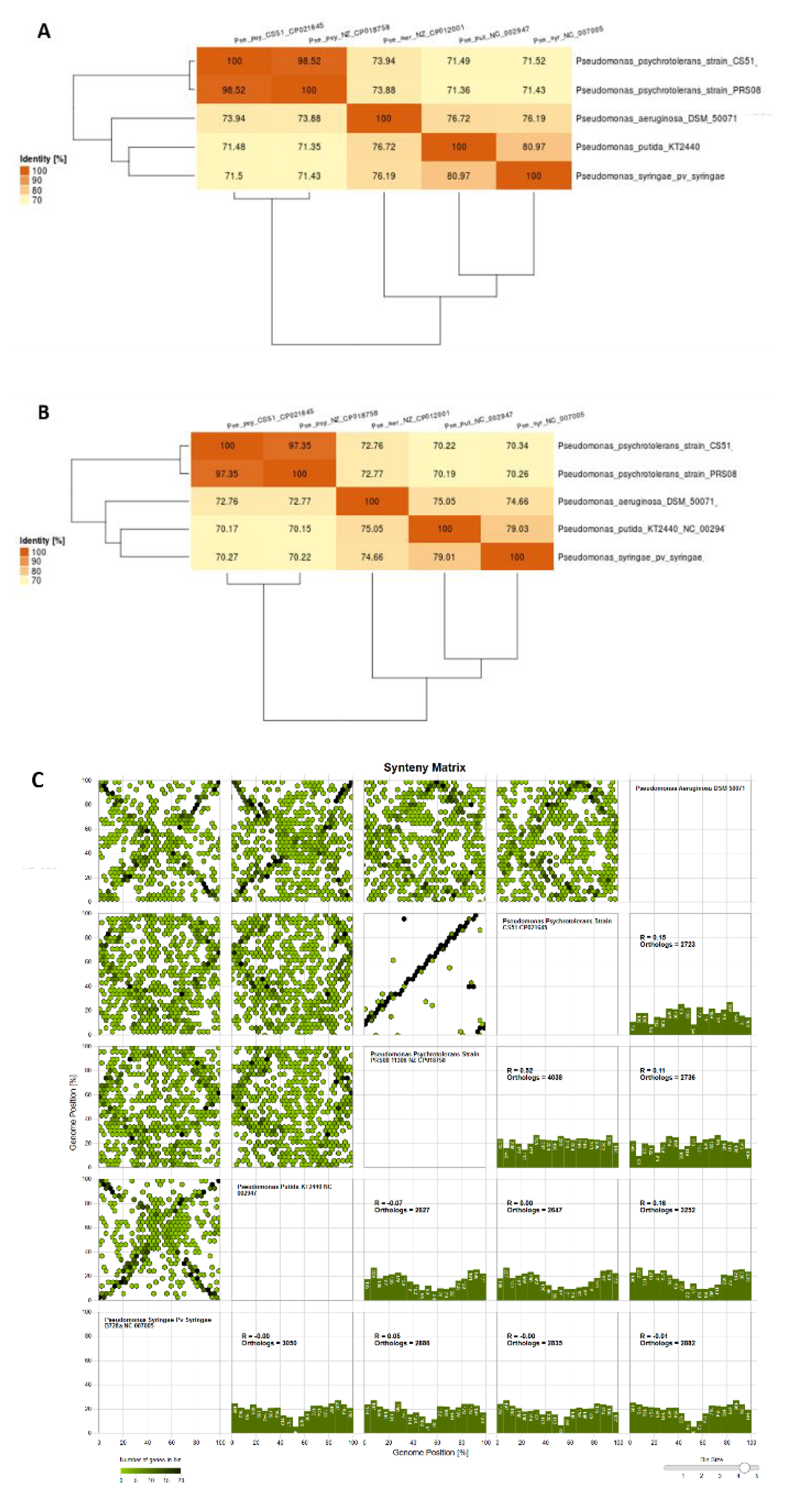 Microorganisms 08 00382 g005