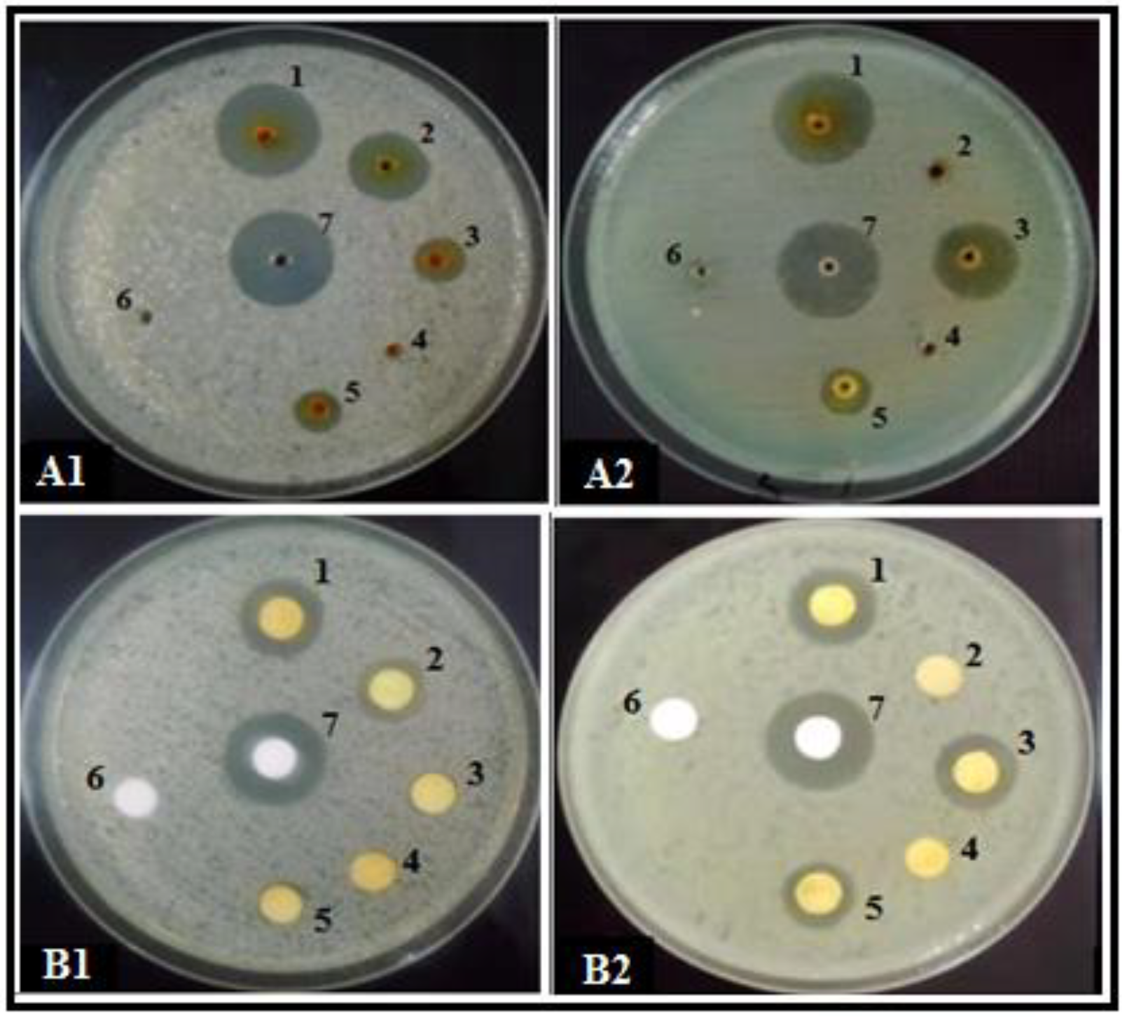 Microorganisms 08 00401 g001