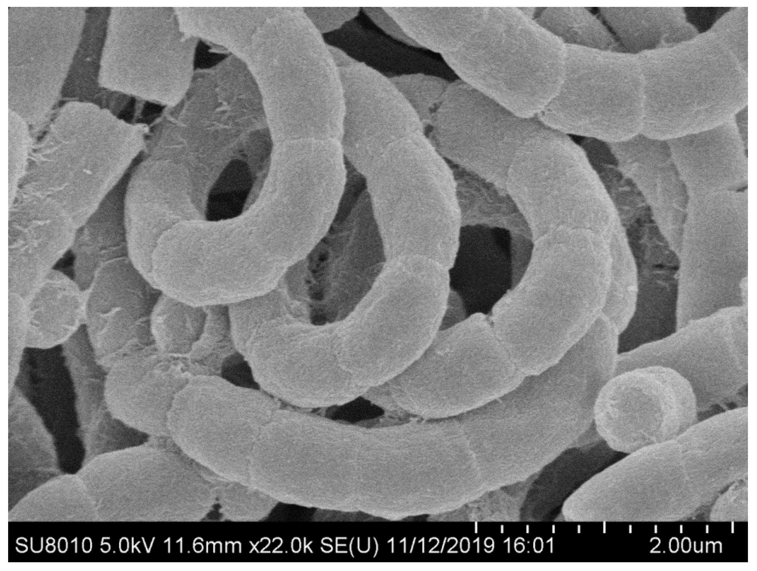 Microorganisms 08 00441 g002