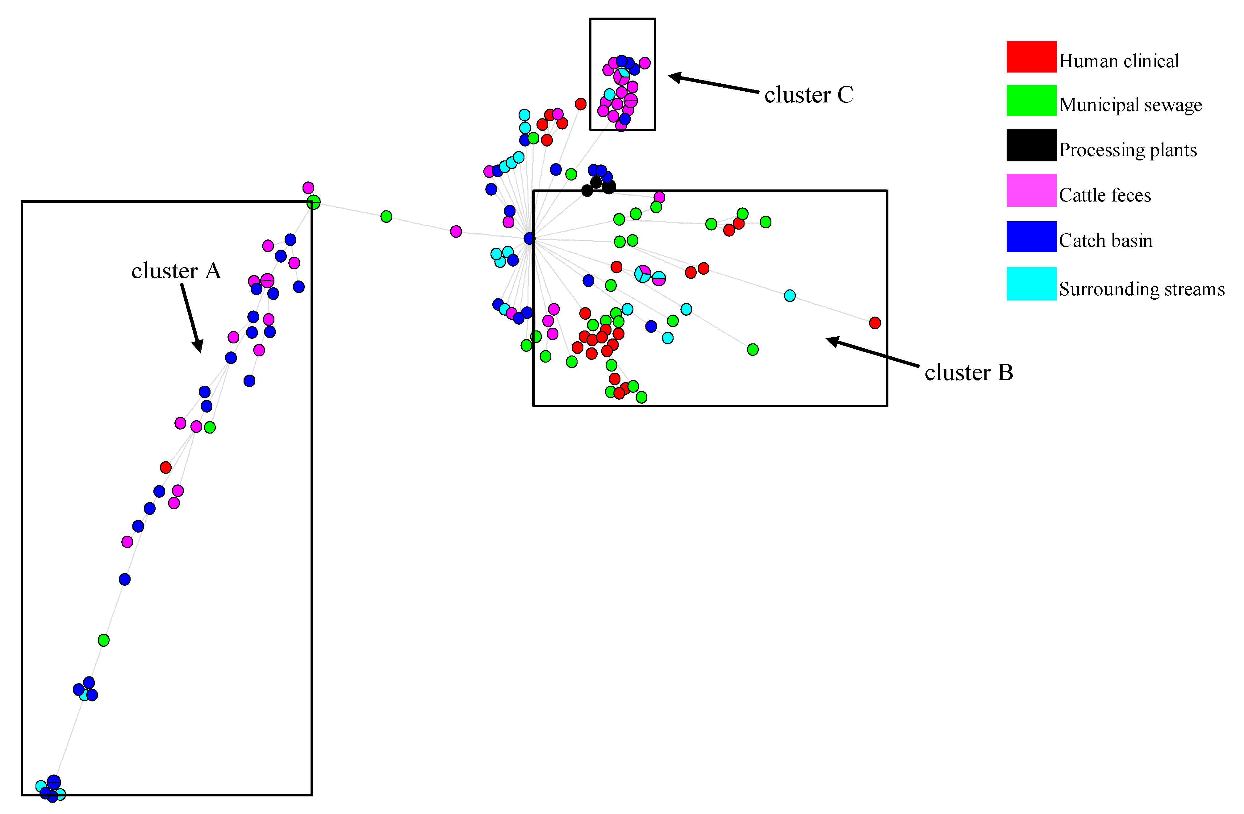 Microorganisms 08 00448 g004