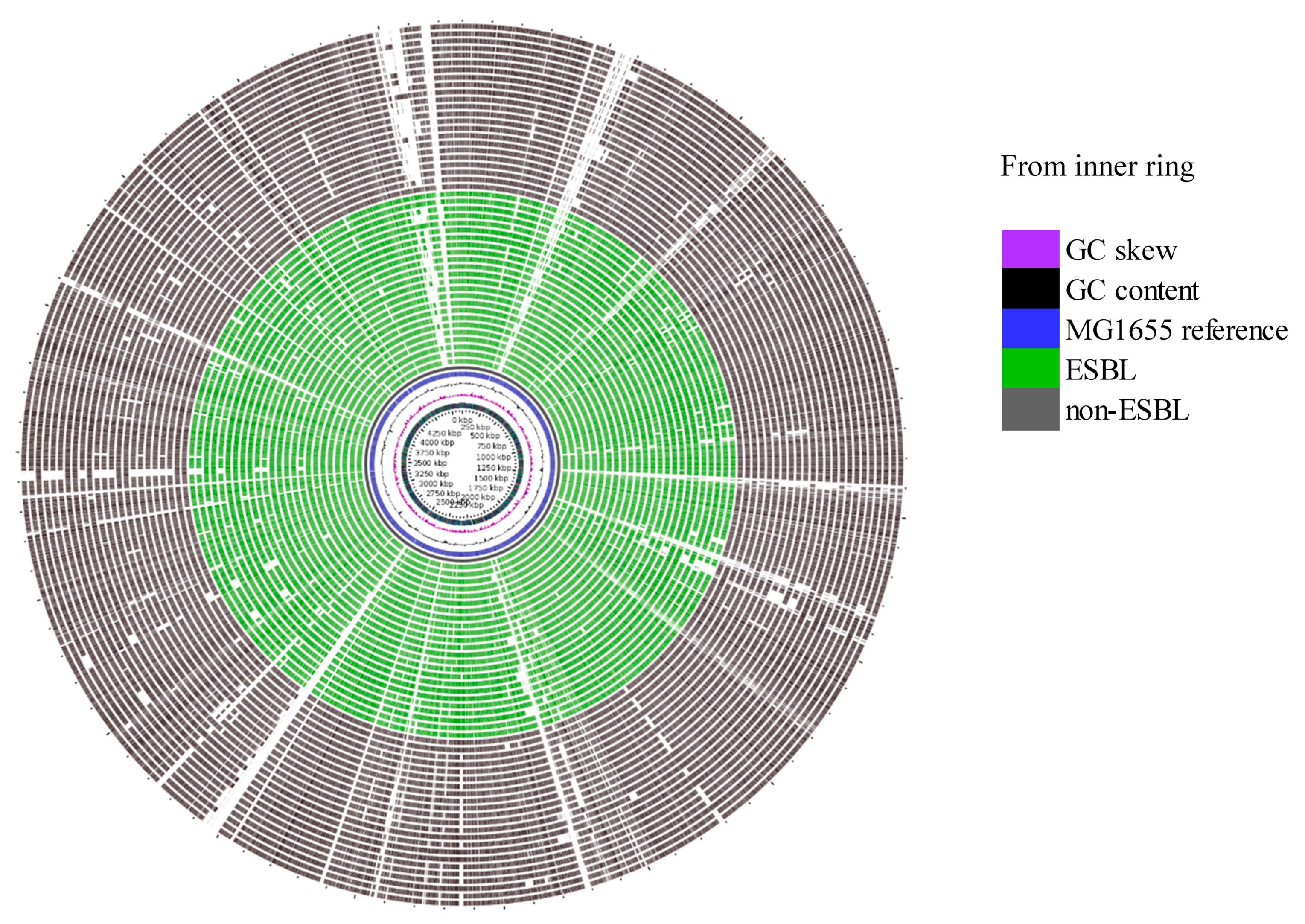 Microorganisms 08 00448 g005