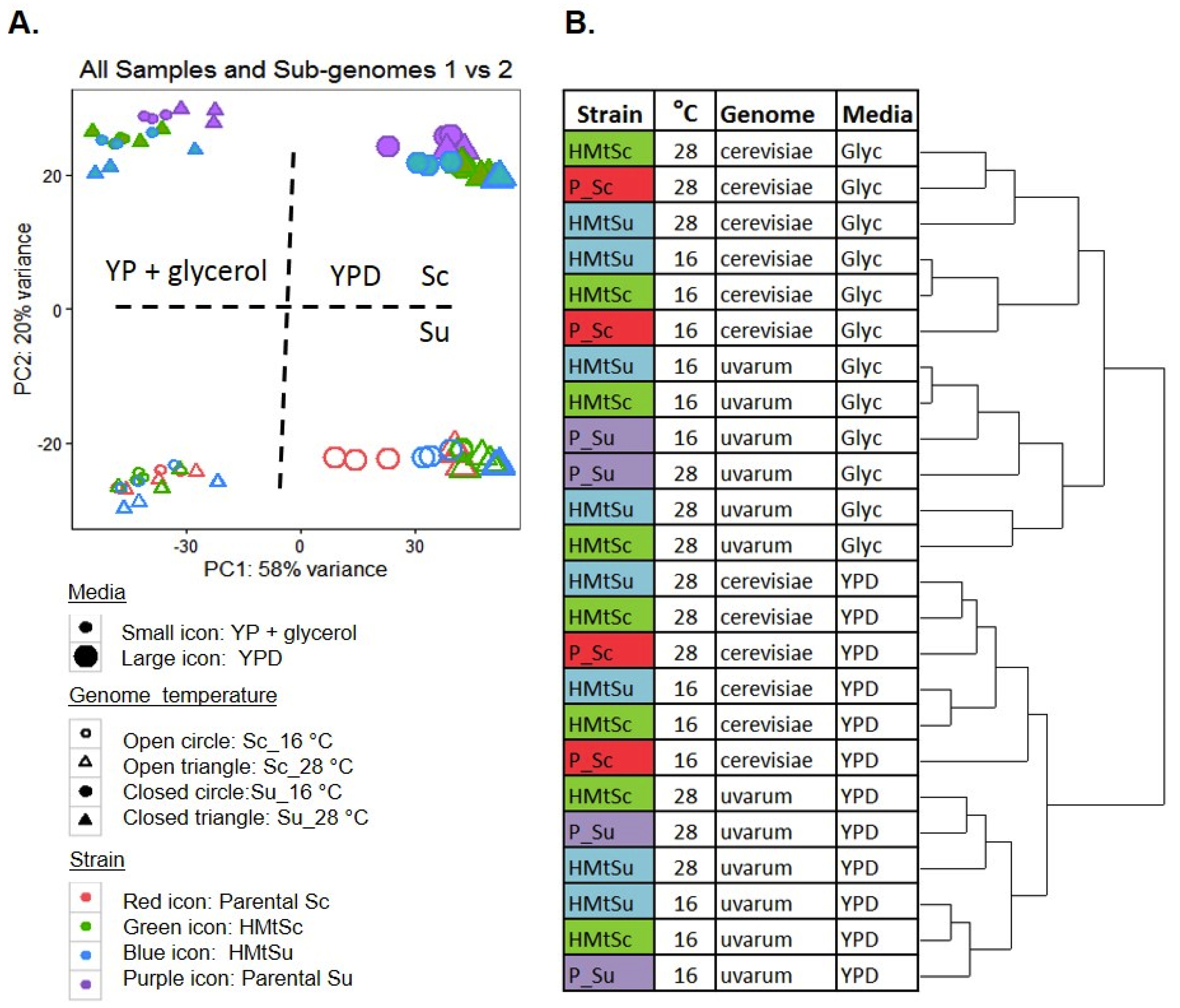 Microorganisms 08 00494 g001