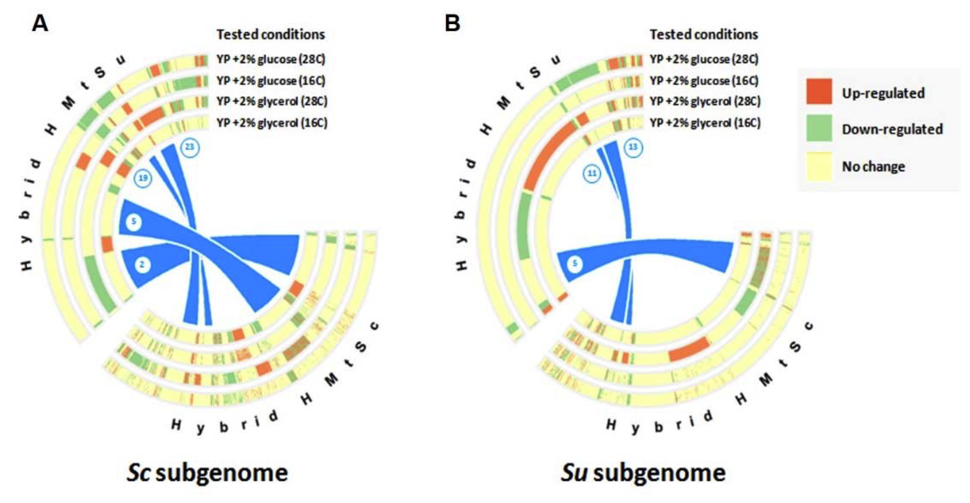 Microorganisms 08 00494 g003