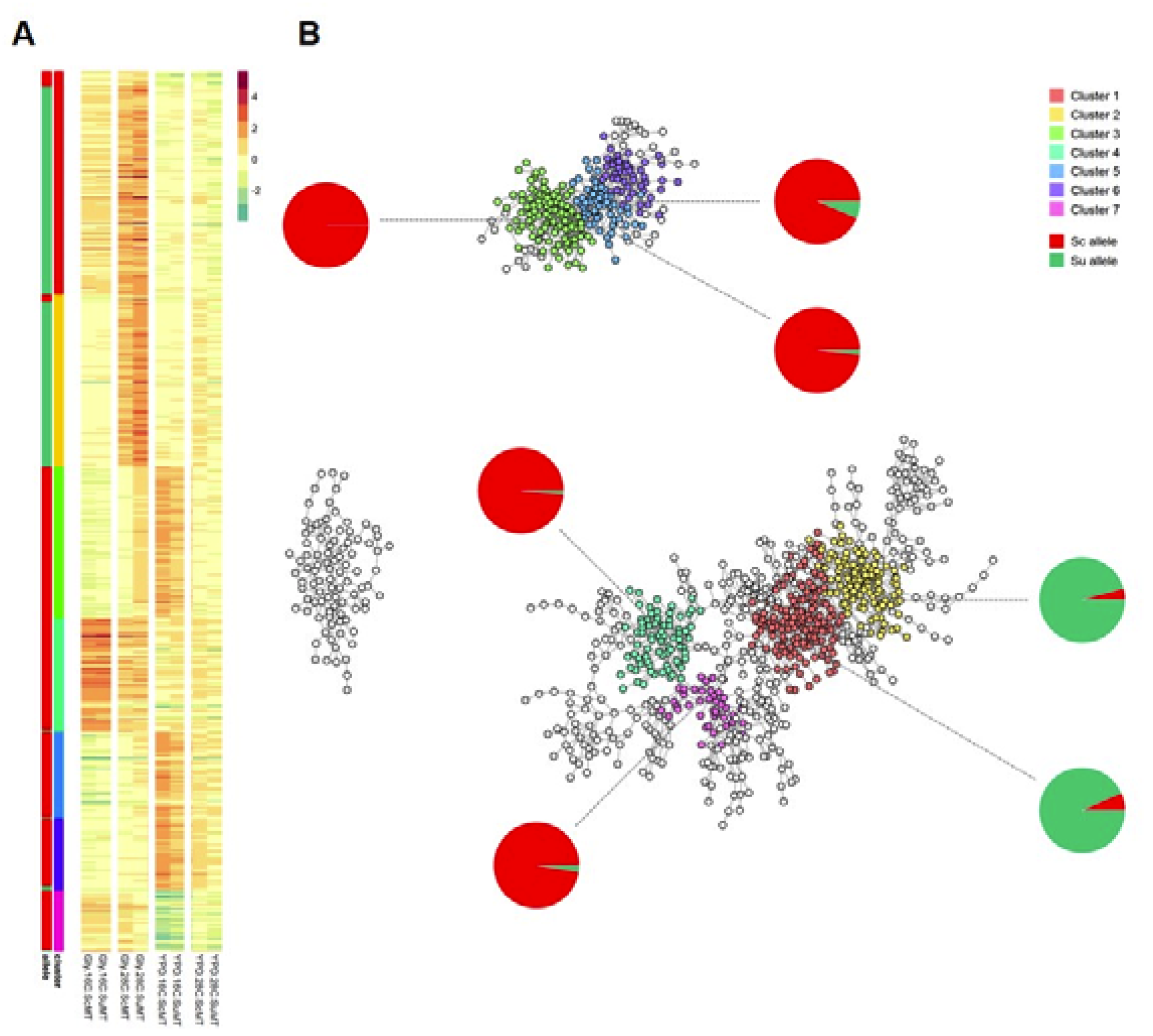 Microorganisms 08 00494 g004