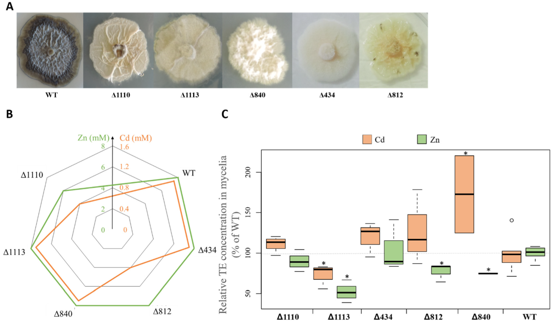 Microorganisms 08 00537 g005