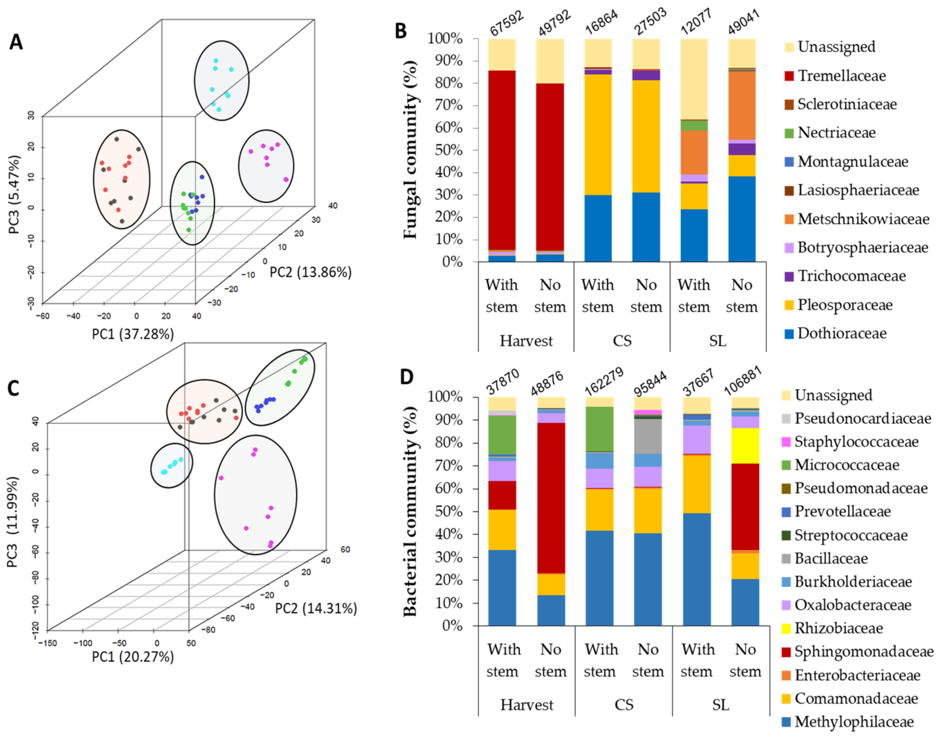 Microorganisms 08 00558 g002 Microorganisms 08 00558 g002