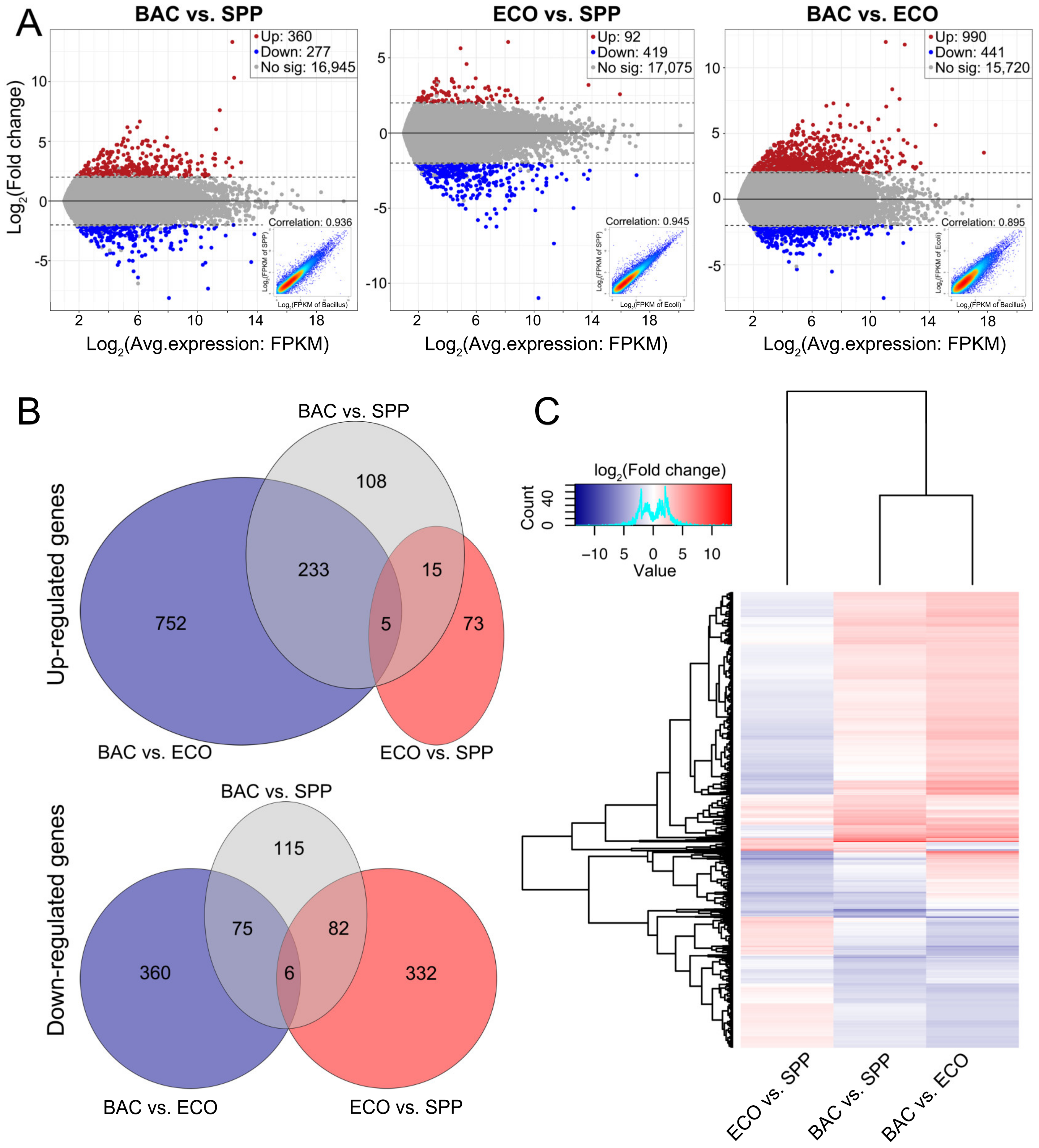 Microorganisms 08 00559 g003 Microorganisms 08 00559 g003
