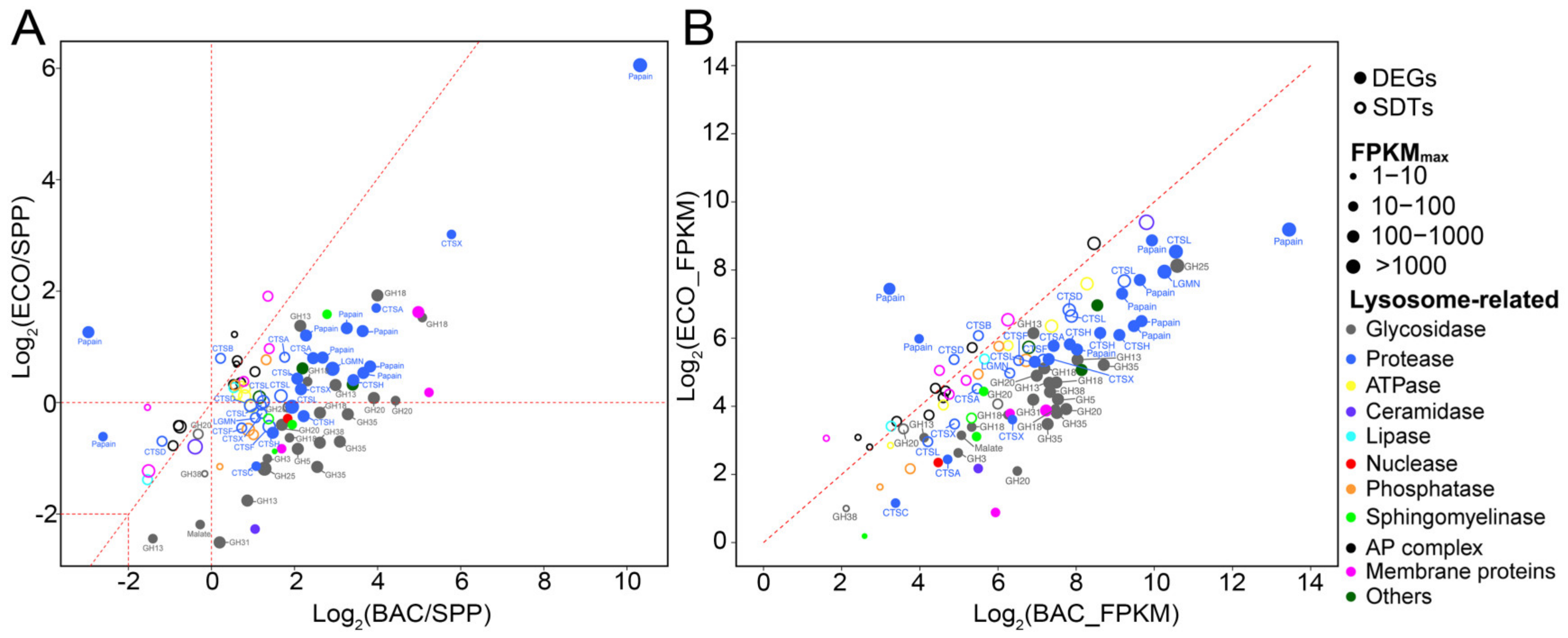 Microorganisms 08 00559 g005 Microorganisms 08 00559 g005