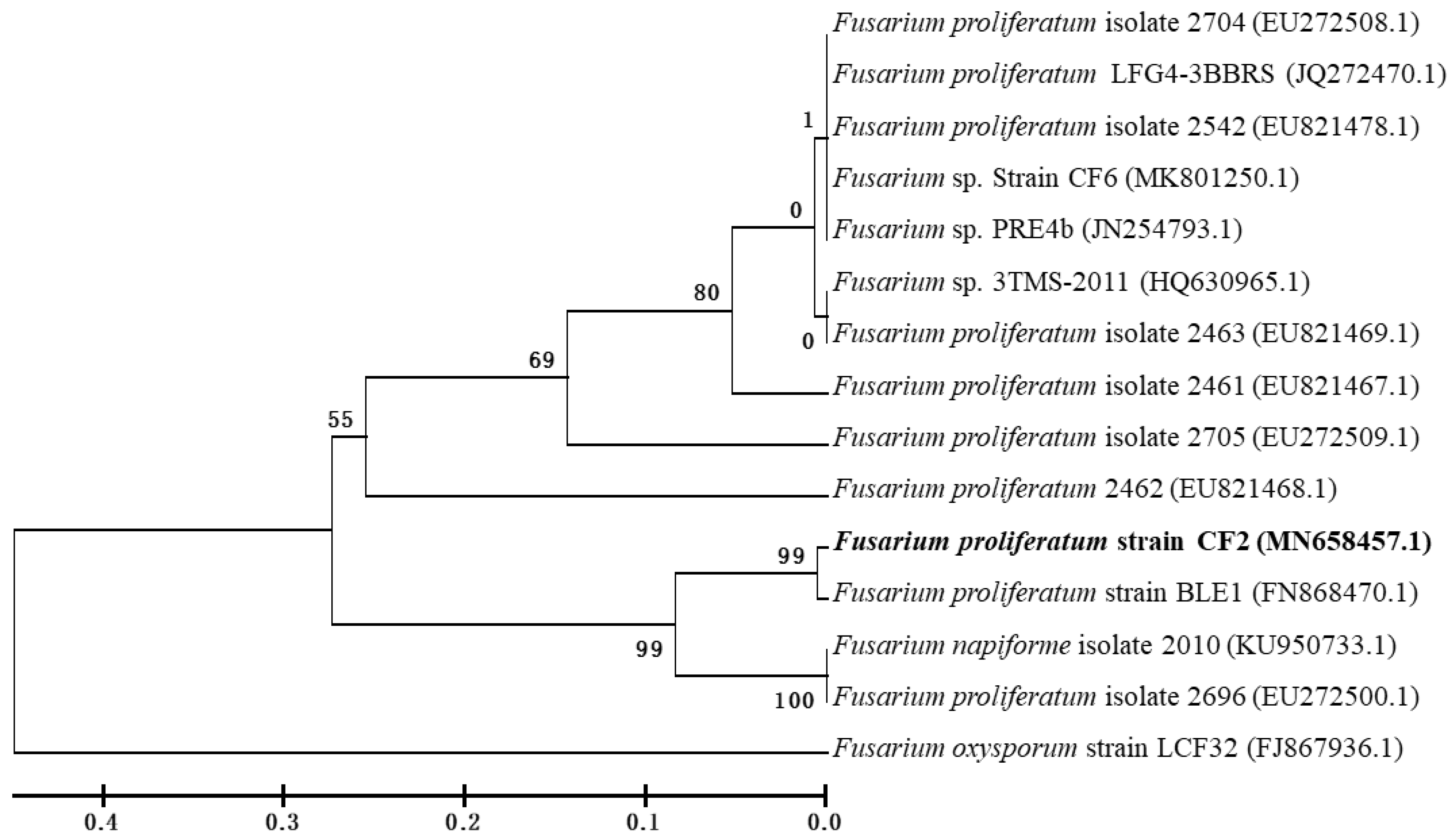 Microorganisms Free Full Text Biodegradation Of Allethrin By A Novel Fungus Fusarium Proliferatum Strain Cf2 Isolated From Contaminated Soils Html