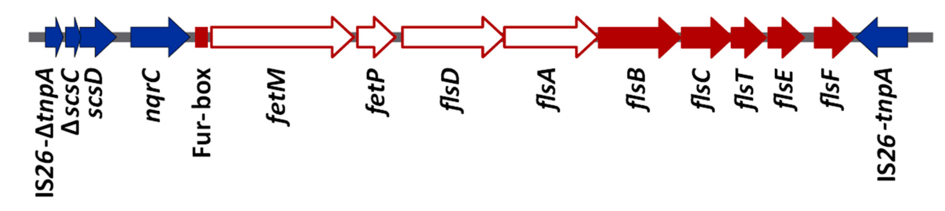 Microorganisms 08 00630 g001