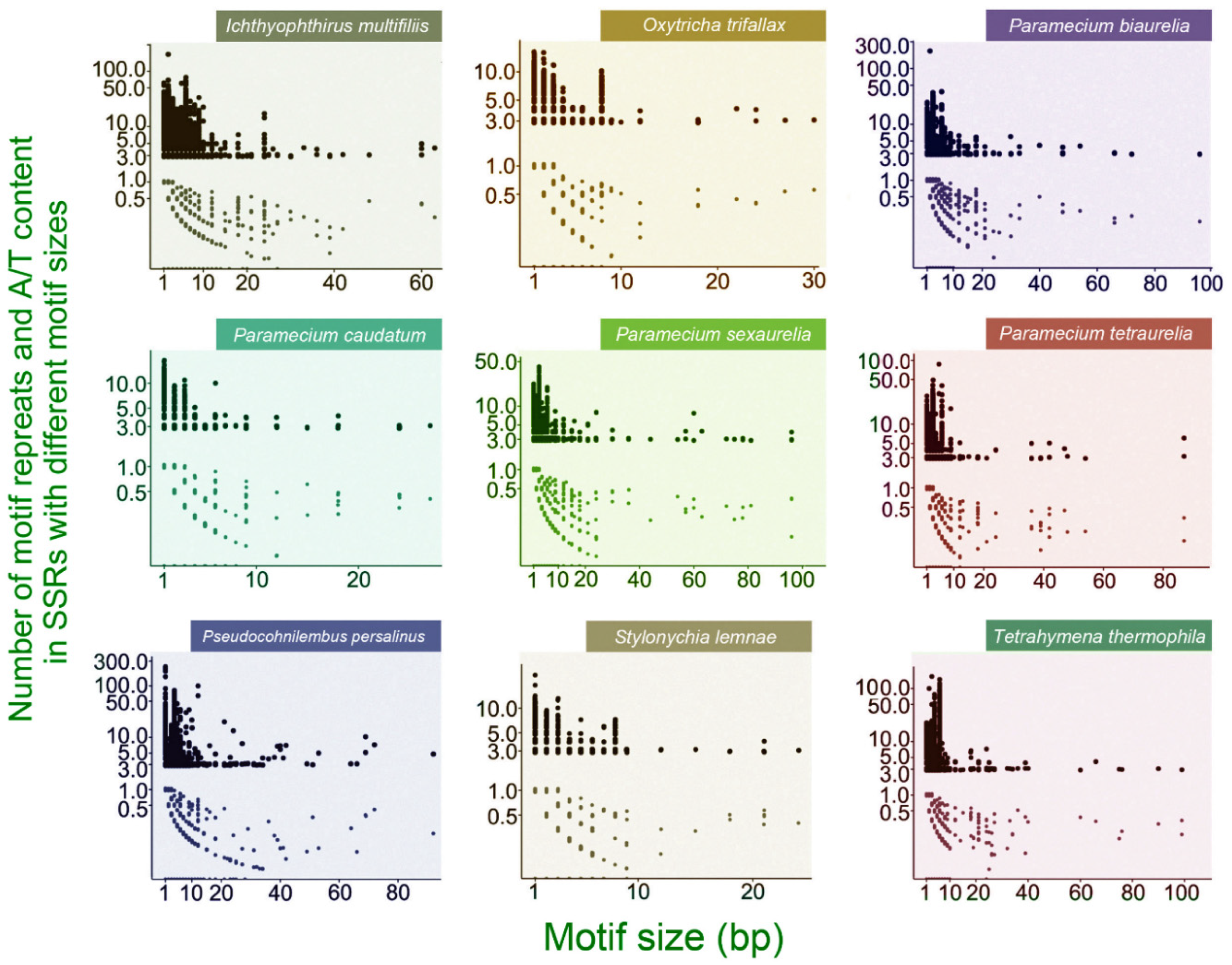 Microorganisms 08 00662 g002 Microorganisms 08 00662 g002