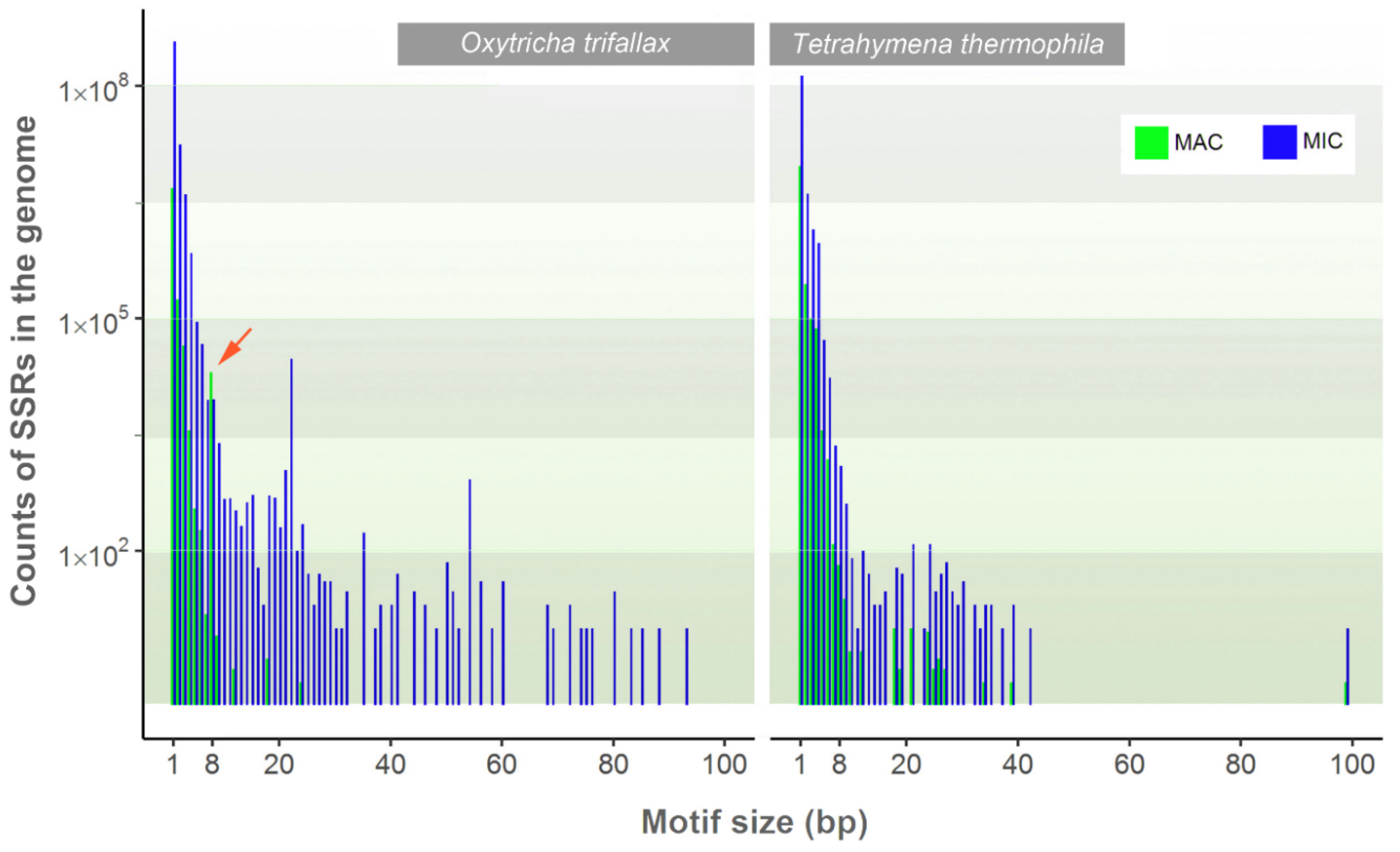Microorganisms 08 00662 g003 Microorganisms 08 00662 g003