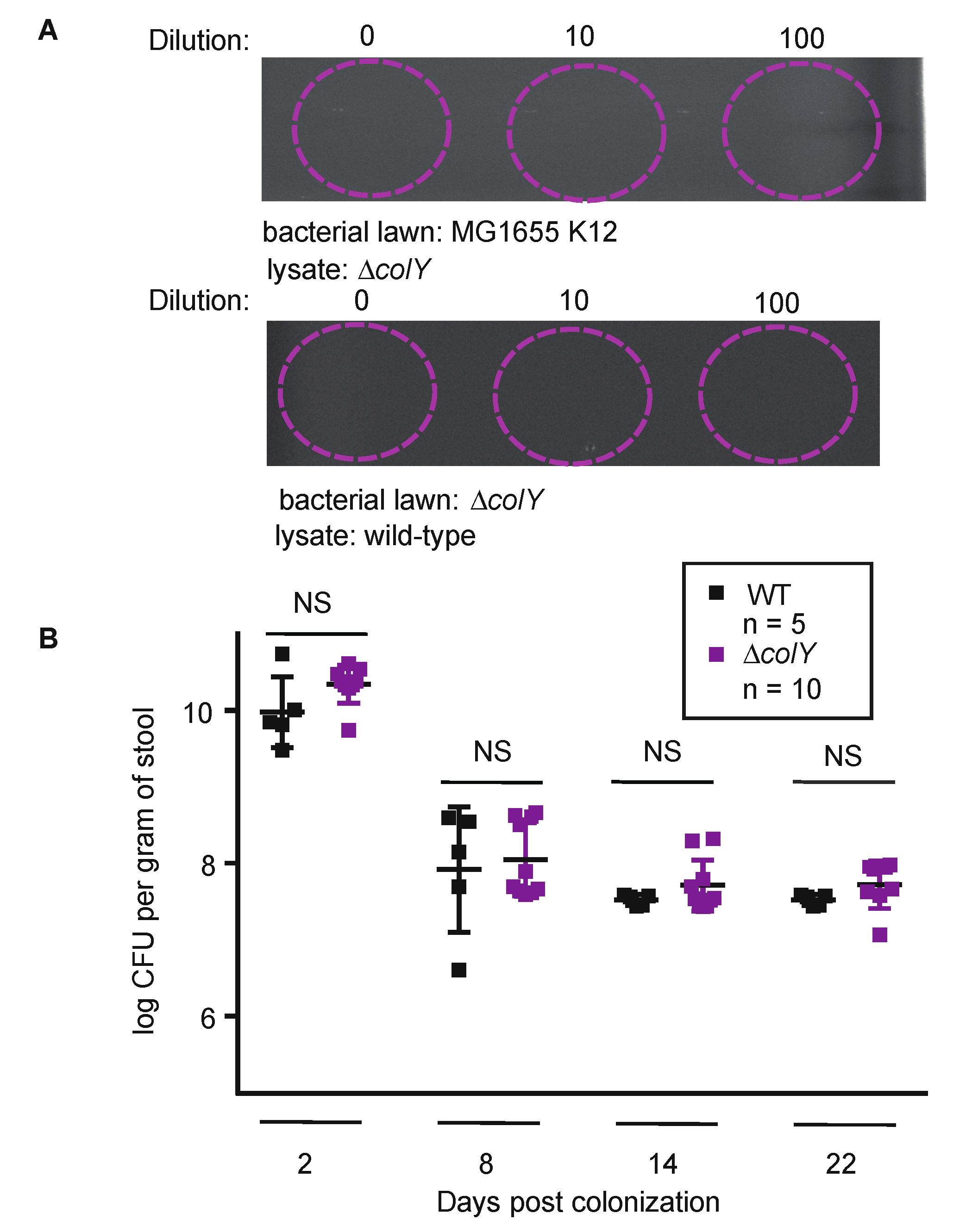 Microorganisms 08 00664 g002